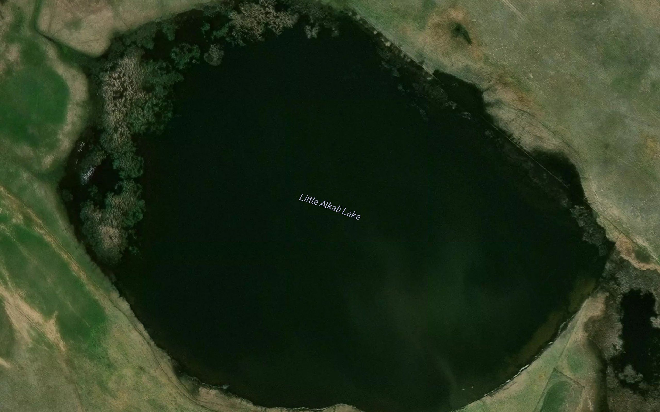 Little Alkali Lake
