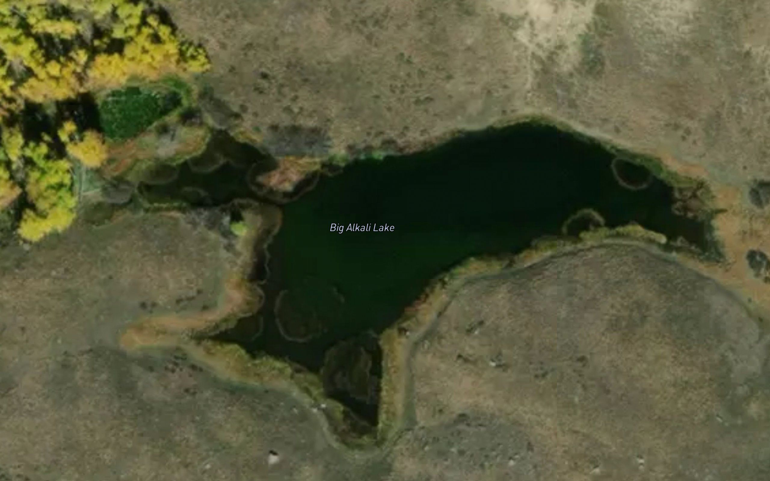 Big Alkali Lake