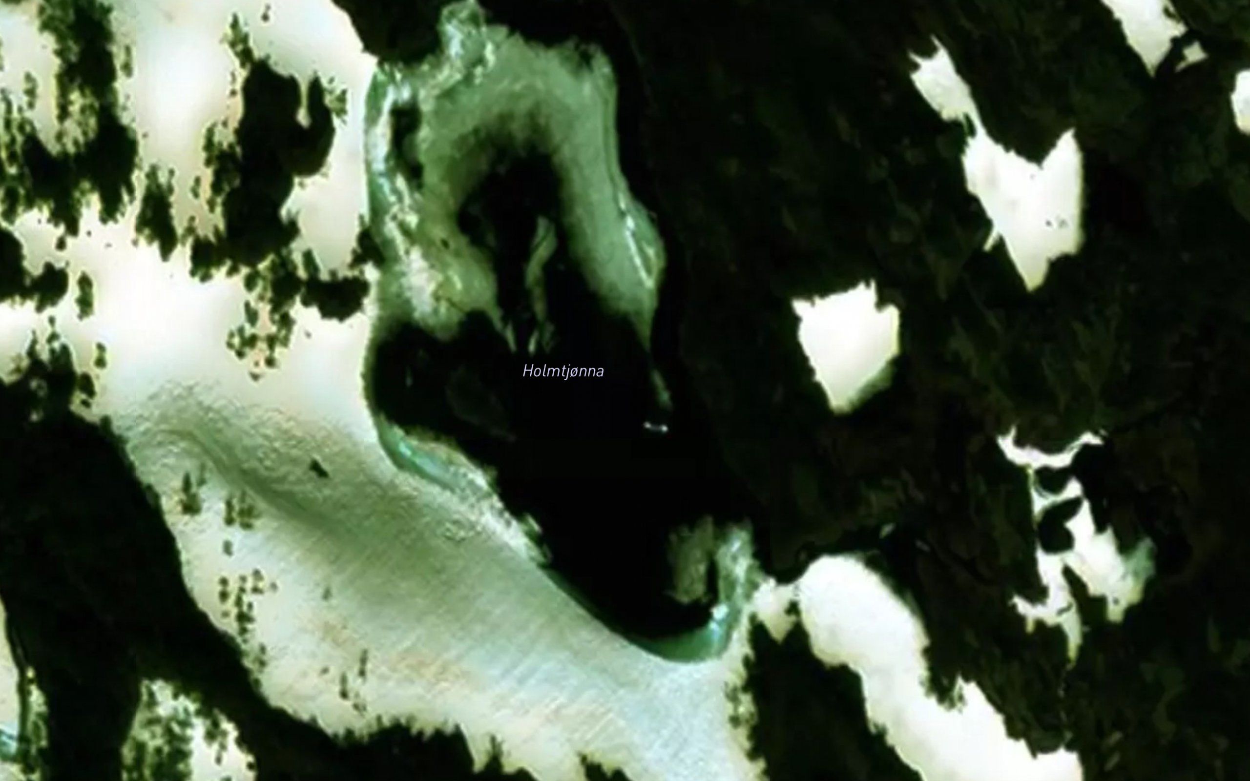 Holmtjorna