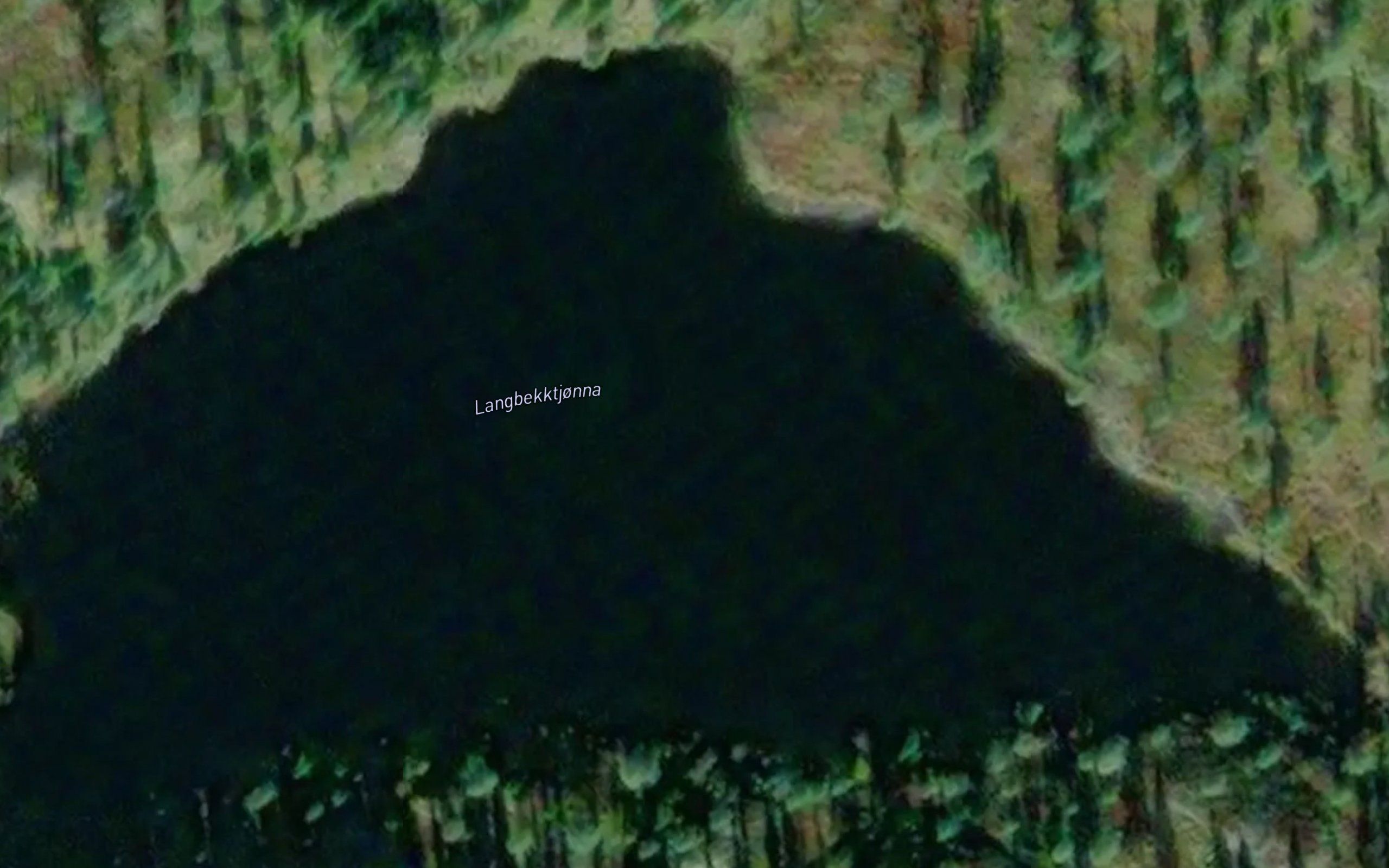 Langbekktjorna
