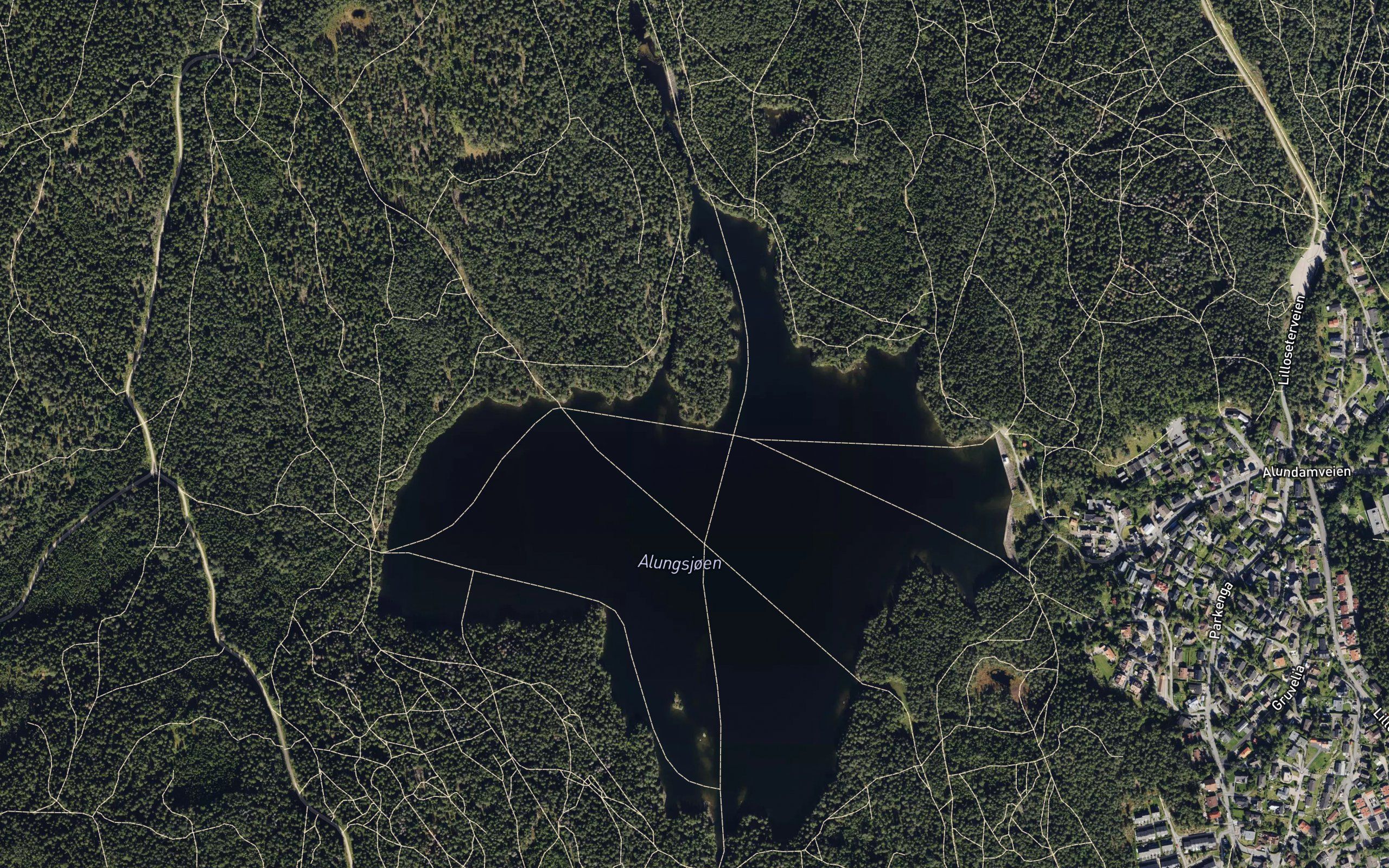 Lortvika