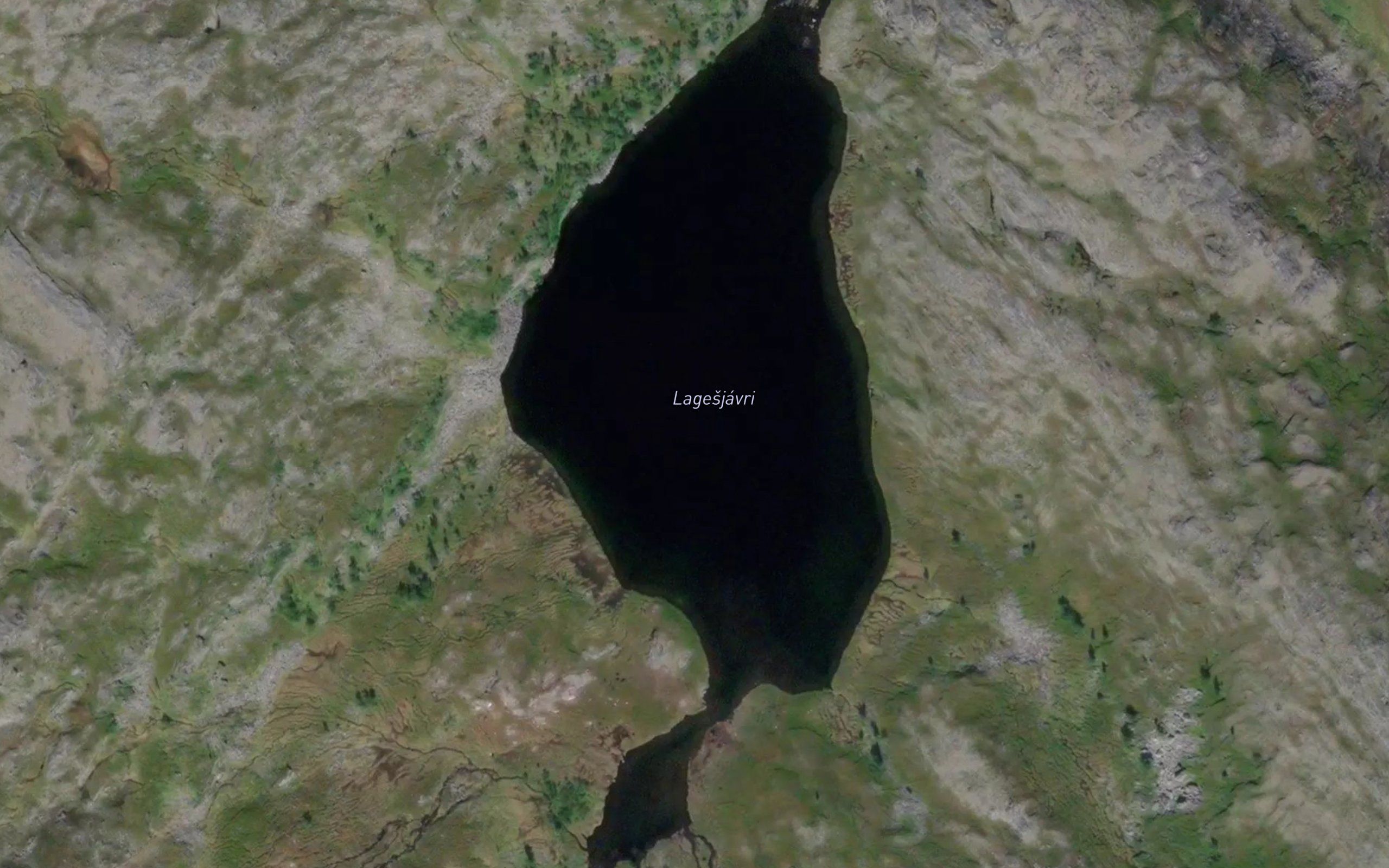 Lagesjavri