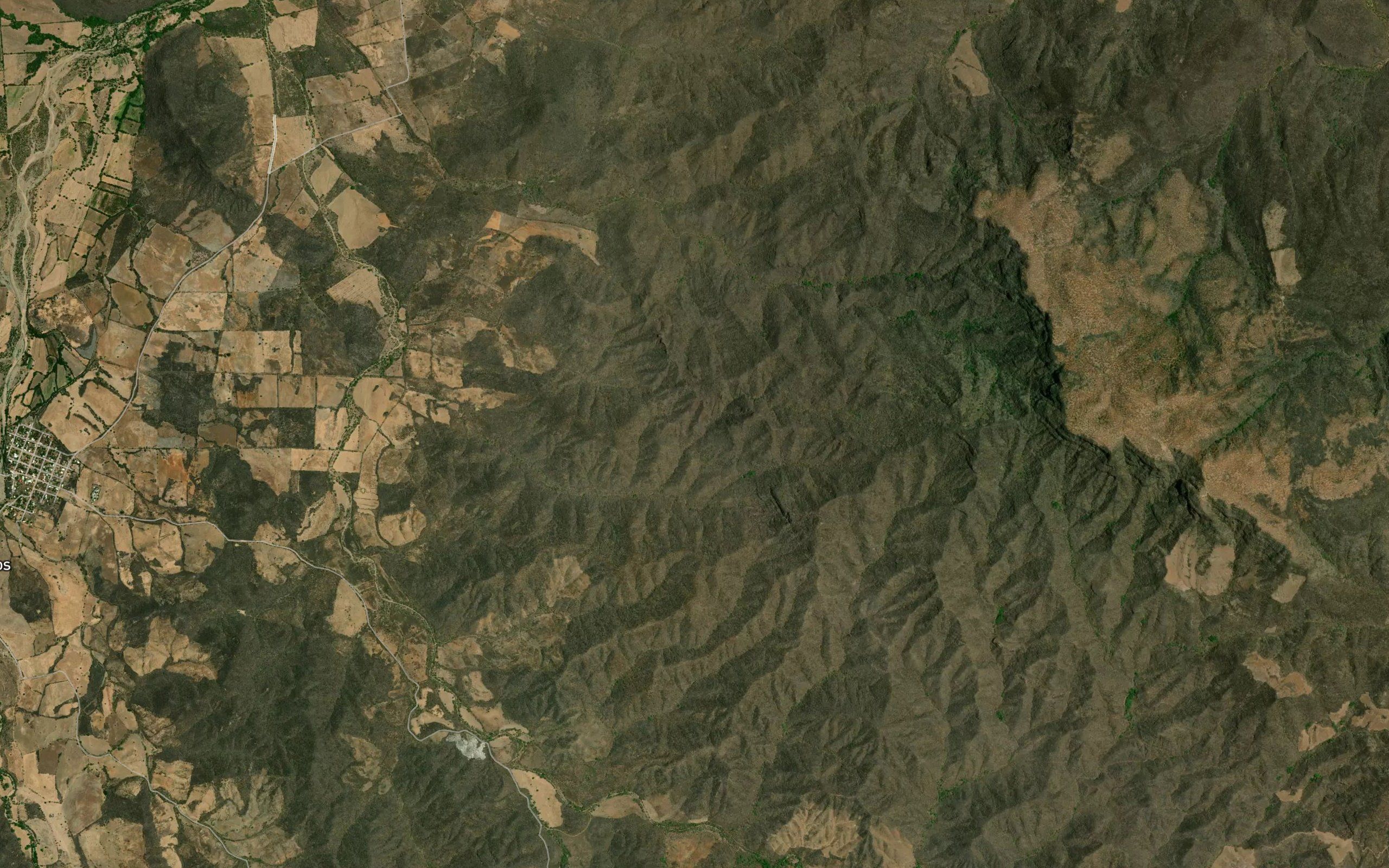 Barranca Los Mezcales