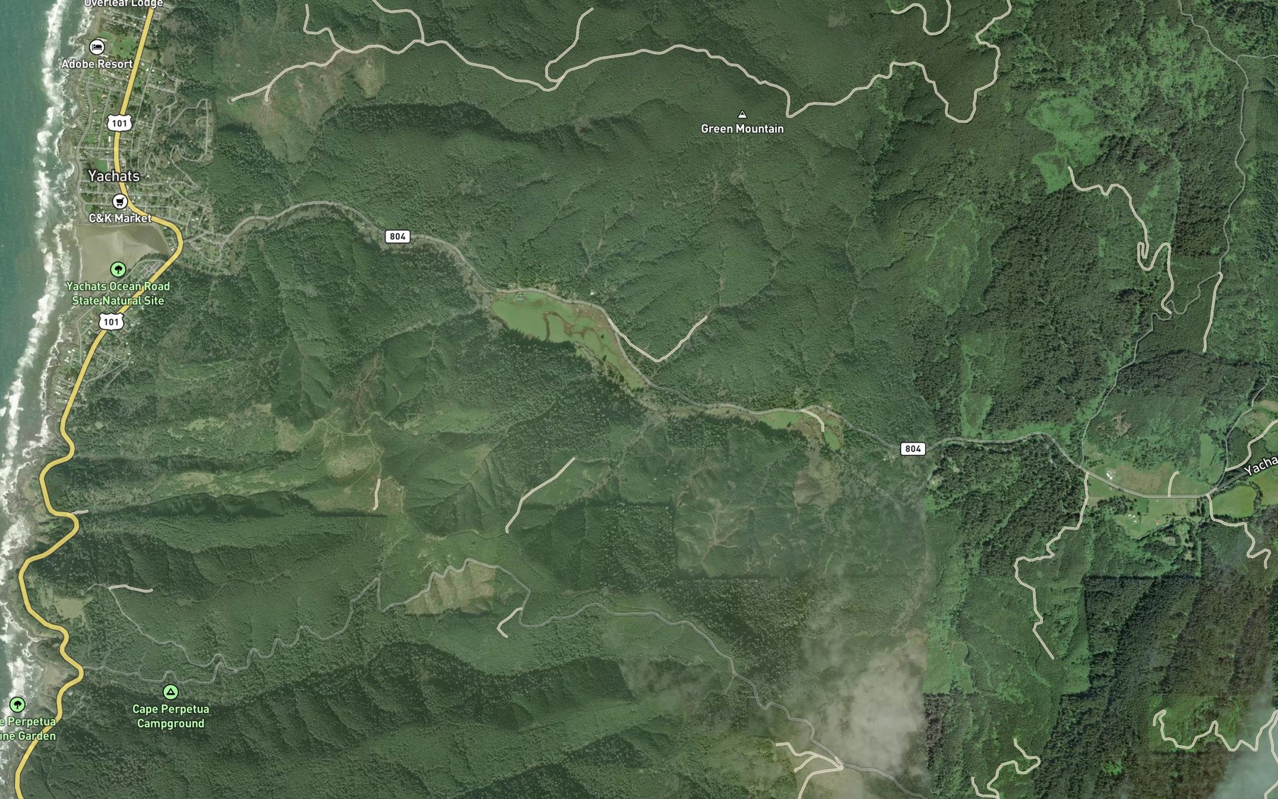 Satellite map of the Reedy Creek