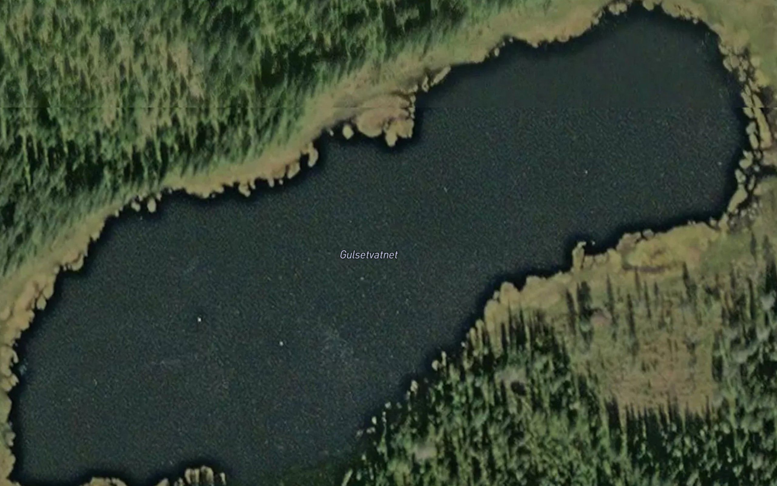 Gulsetvatnet
