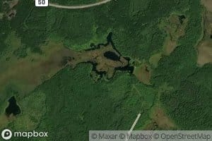 Little Wolf Impoundment