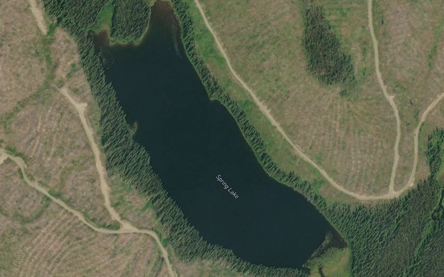 Satellite map of the Spring Lake