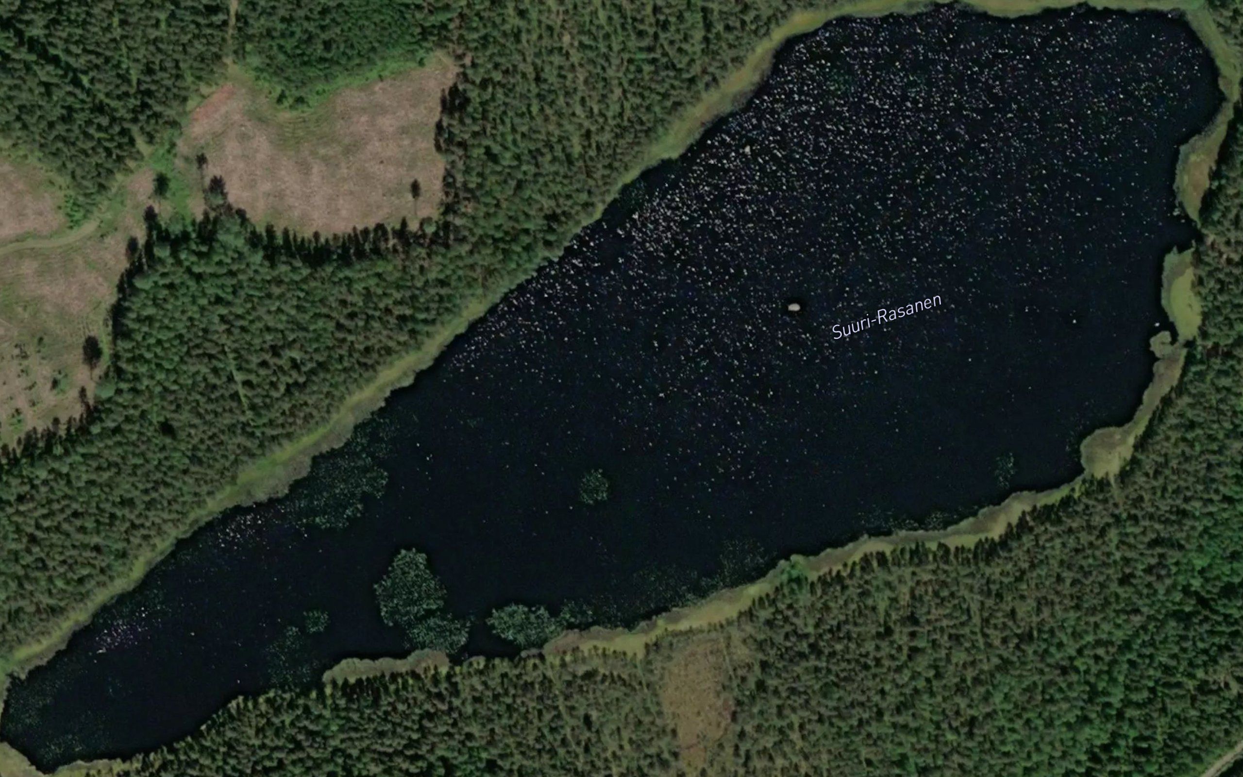 Suuri-Rasanen