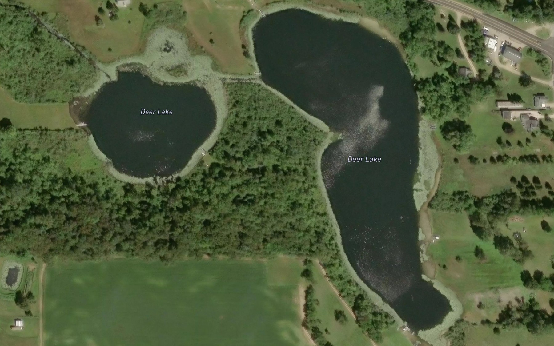 Satellite map of the Deer Lake