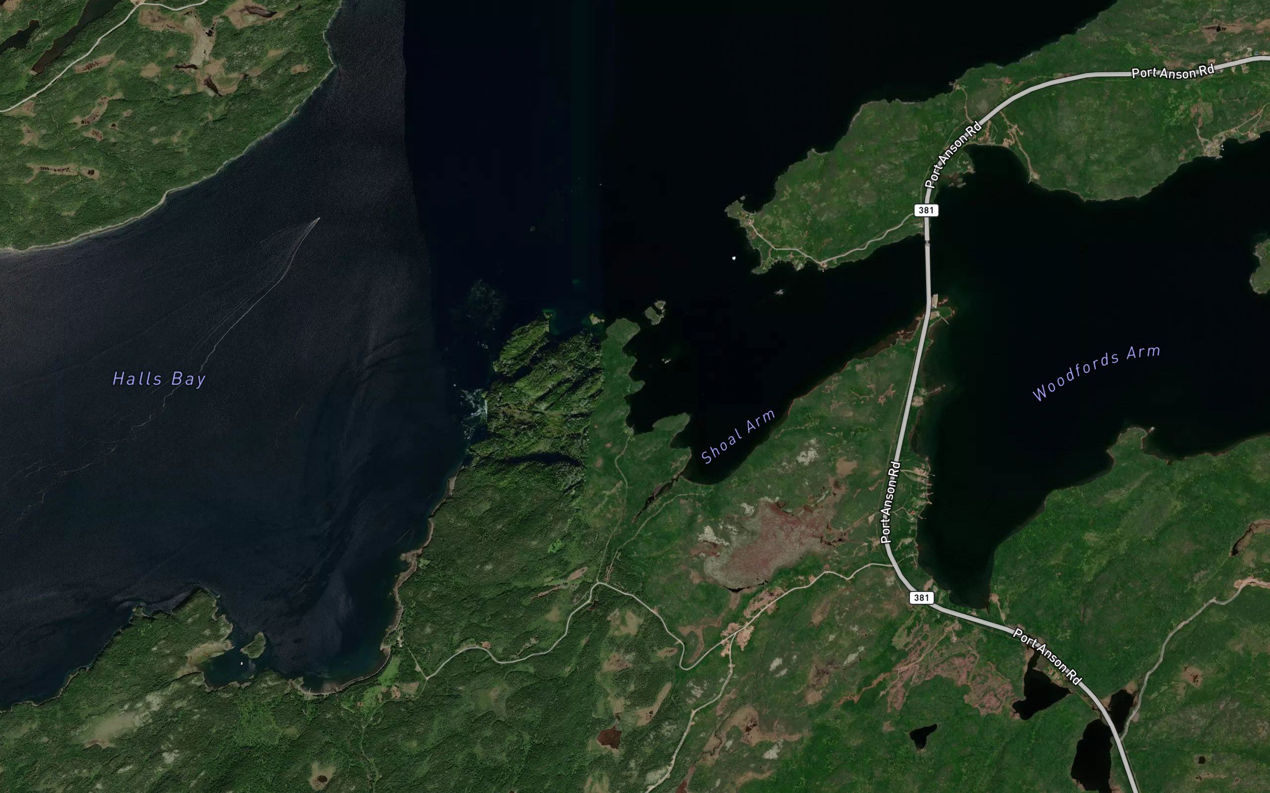 Shoal Arm