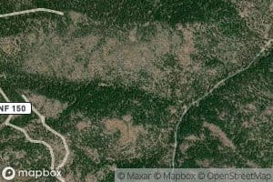 Bobcat Spring