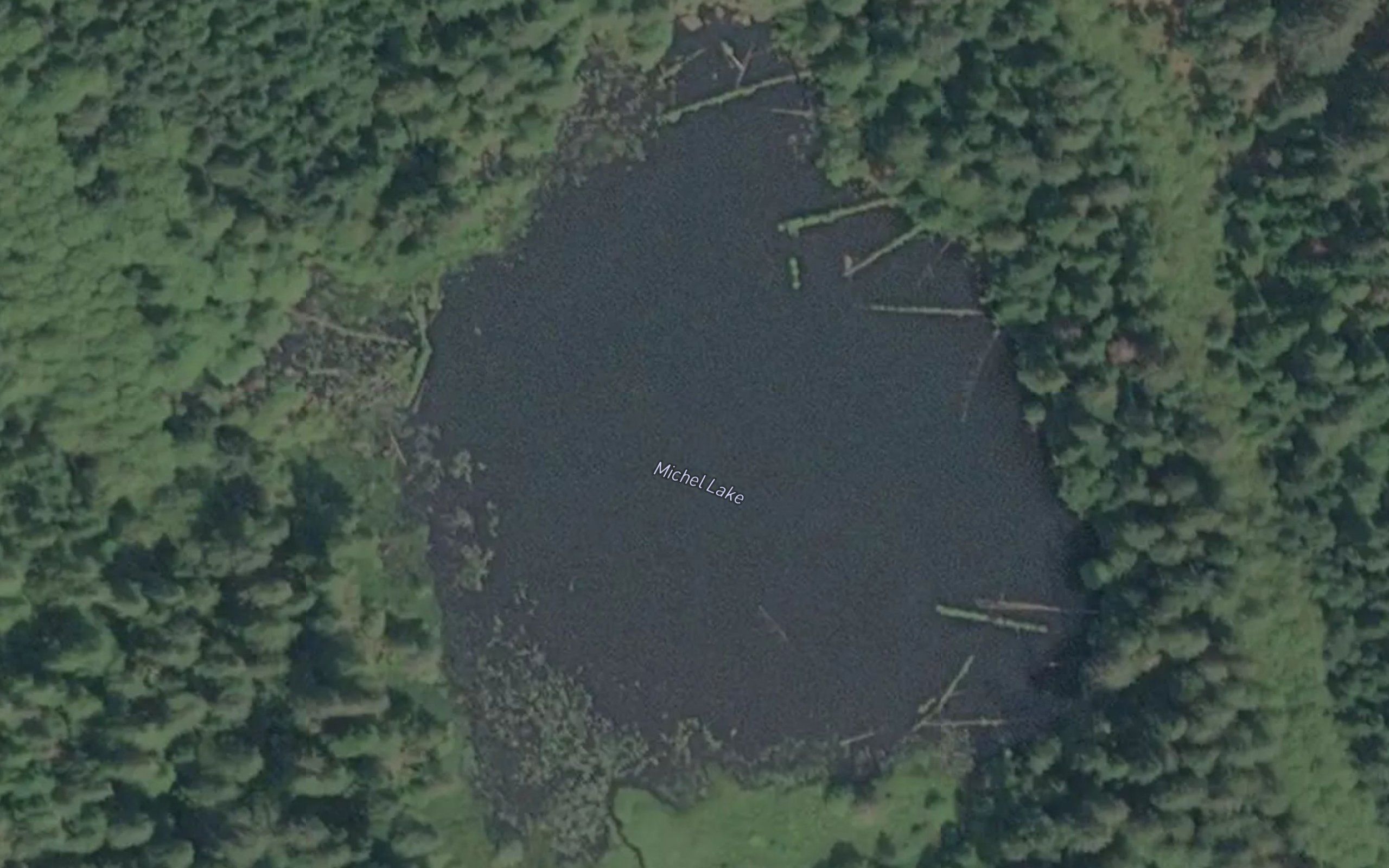 Michel Lake