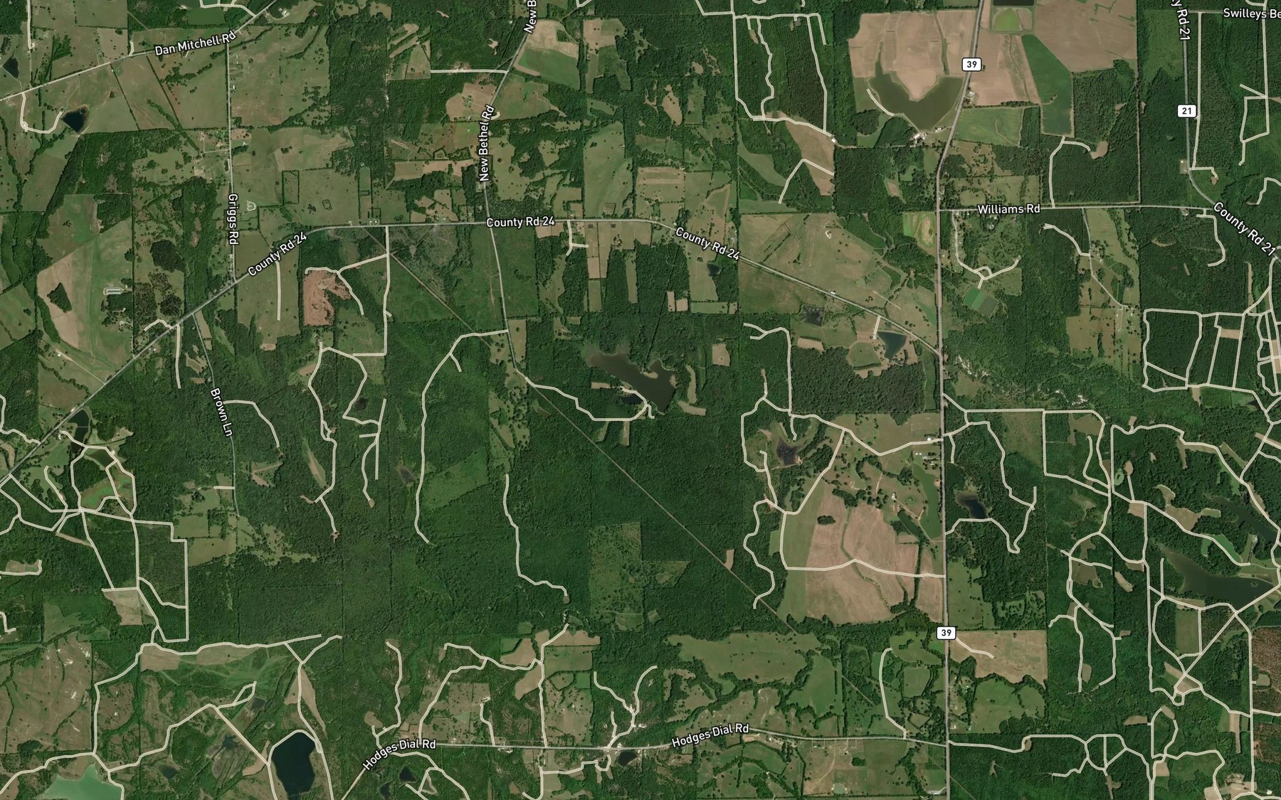 Satellite map of the Buchannon Lake