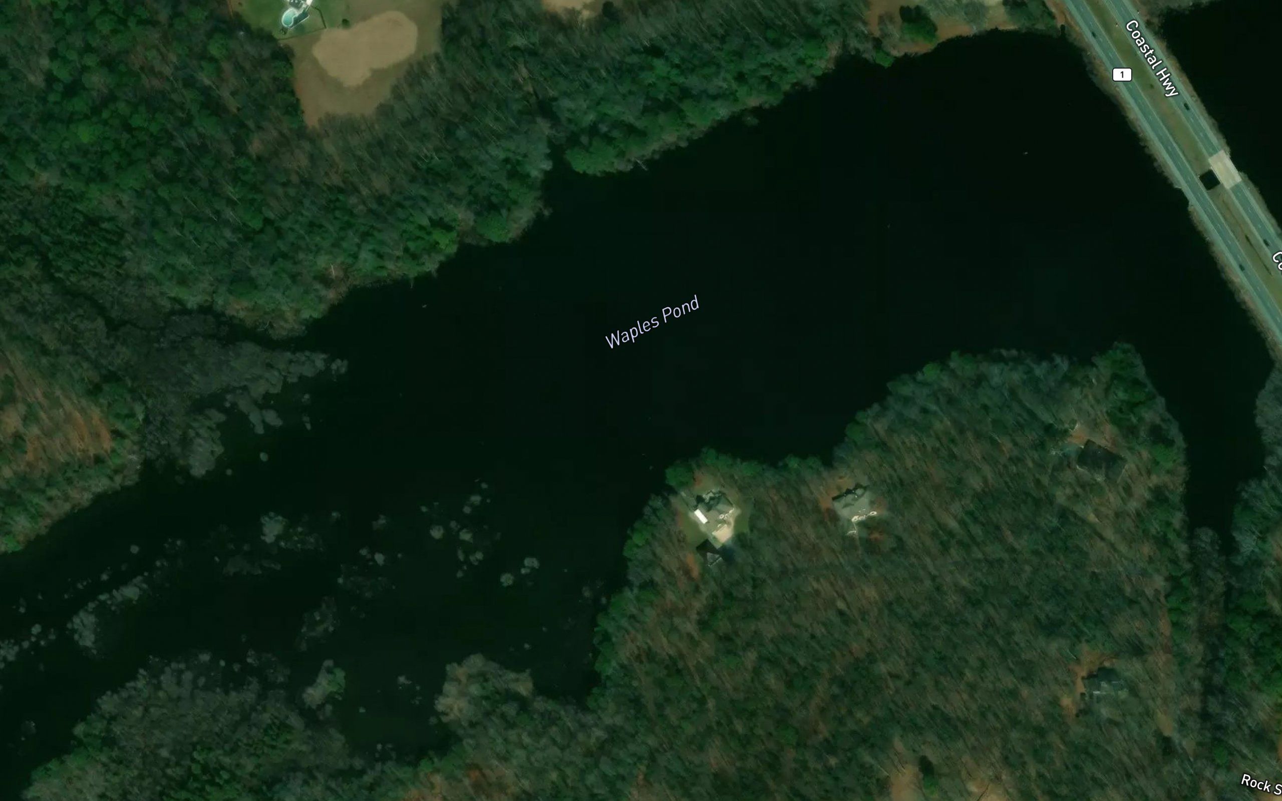 Waples Pond