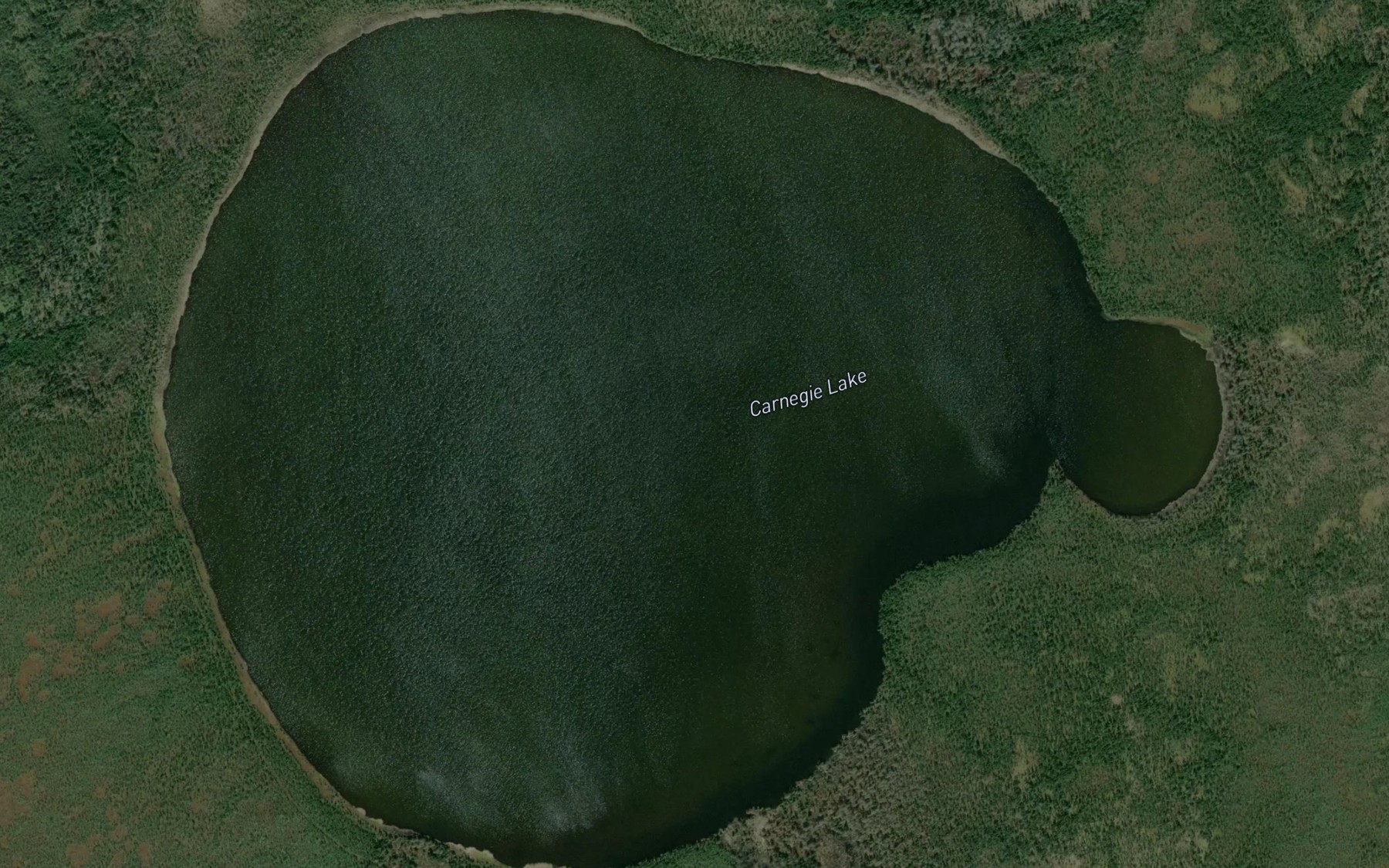 Satellite map of the Carnegie Lake
