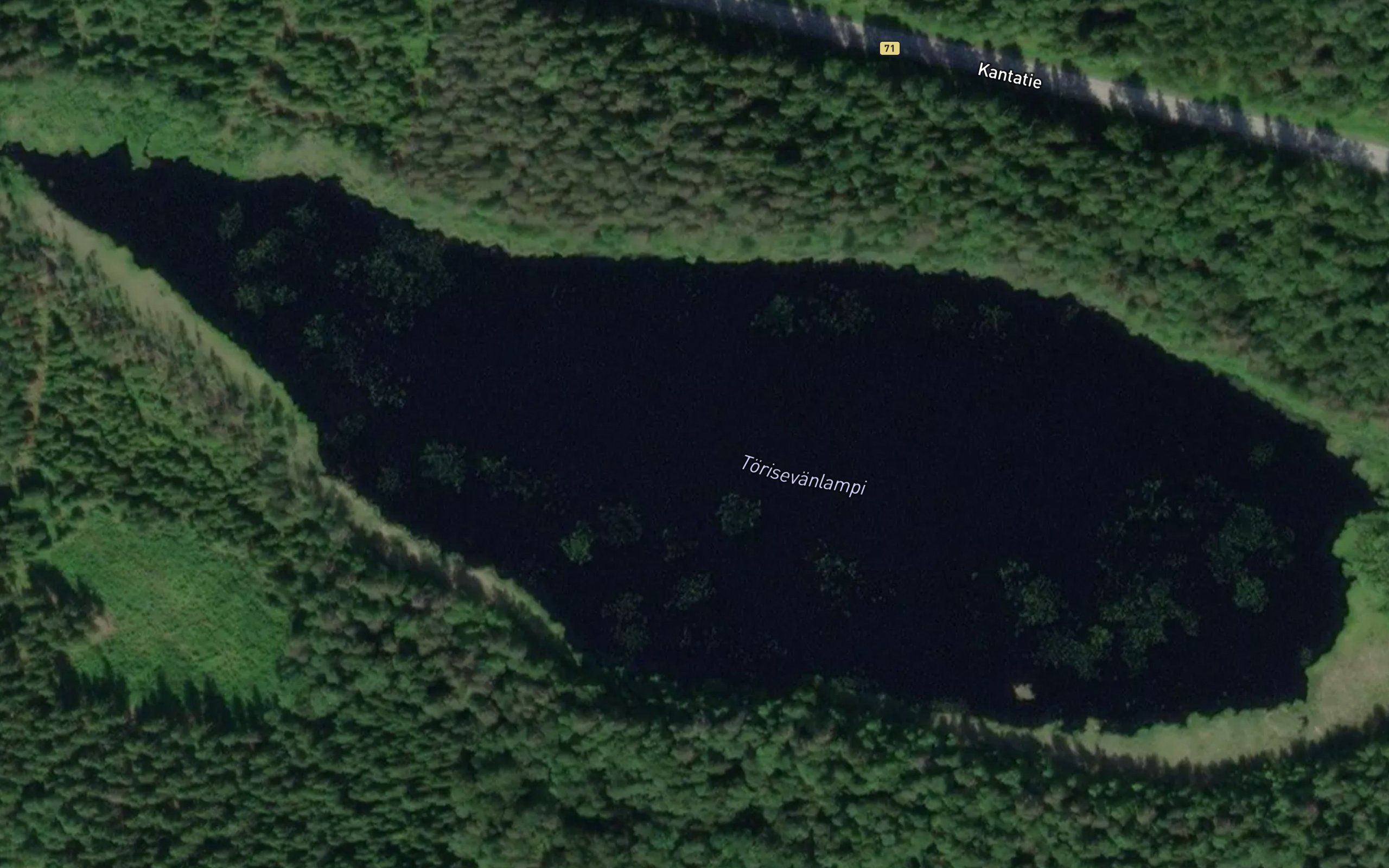 Torisevanlampi