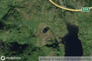 Seljeskogtjorna