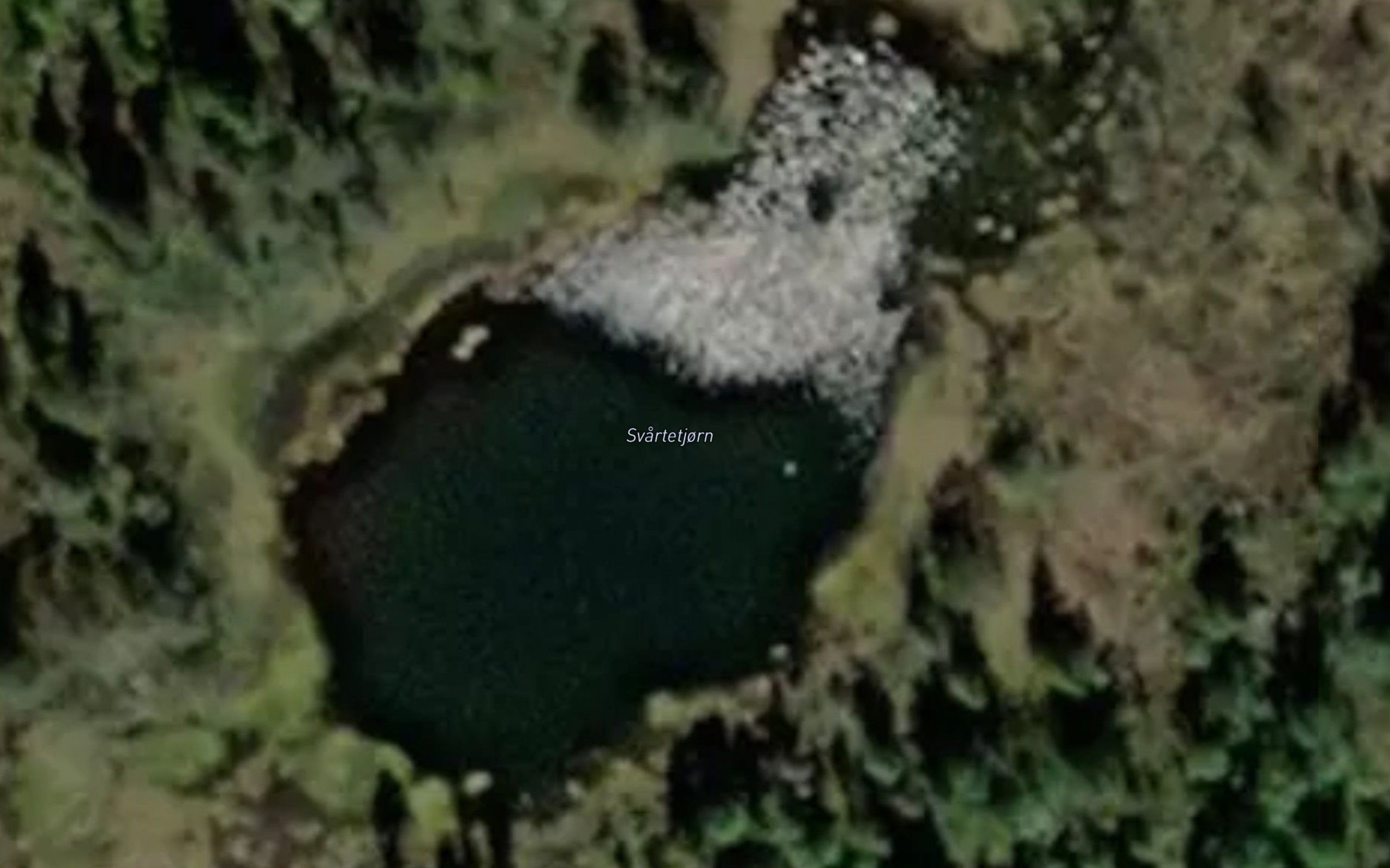 Svartetjorn