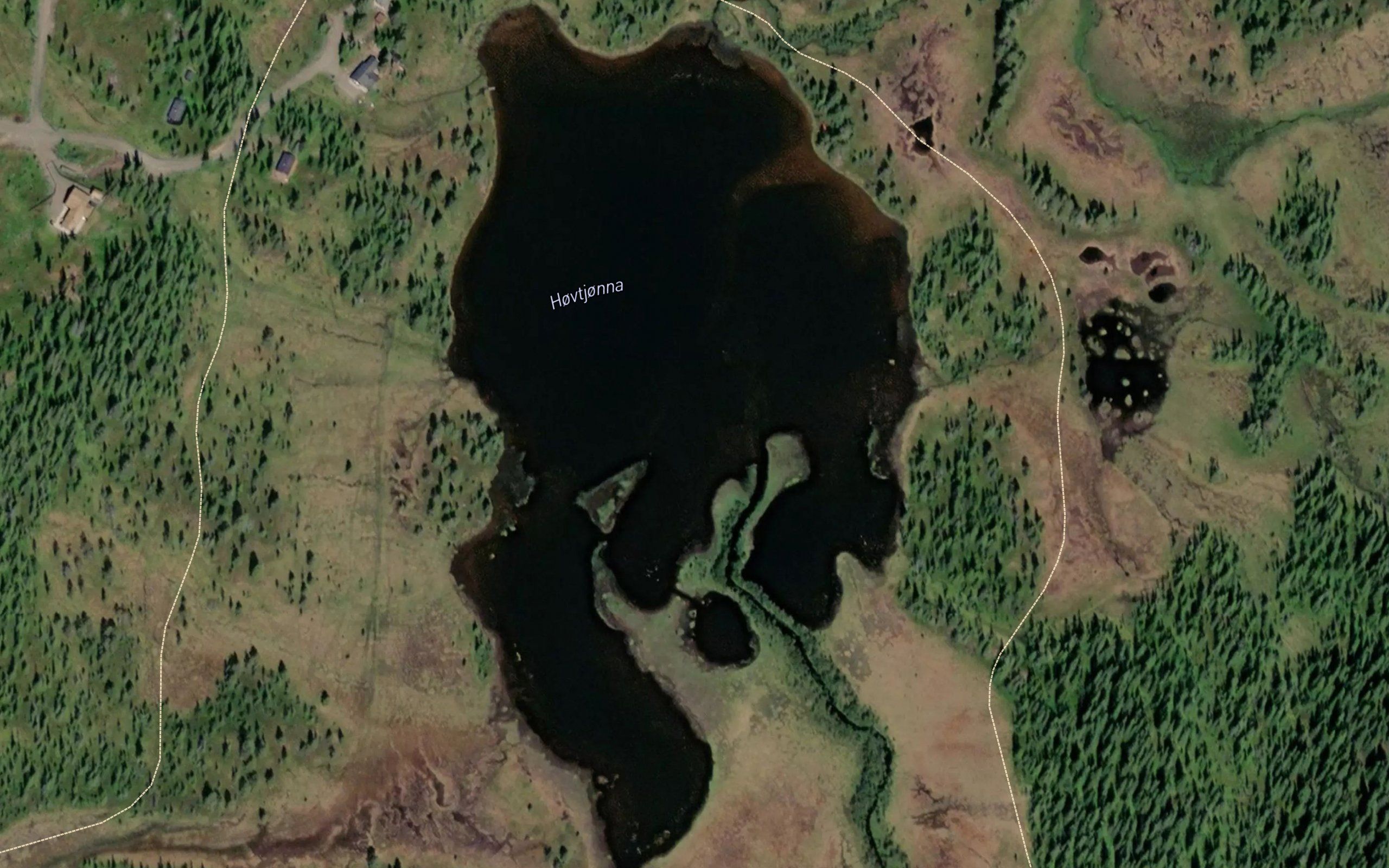 Hovtjorna
