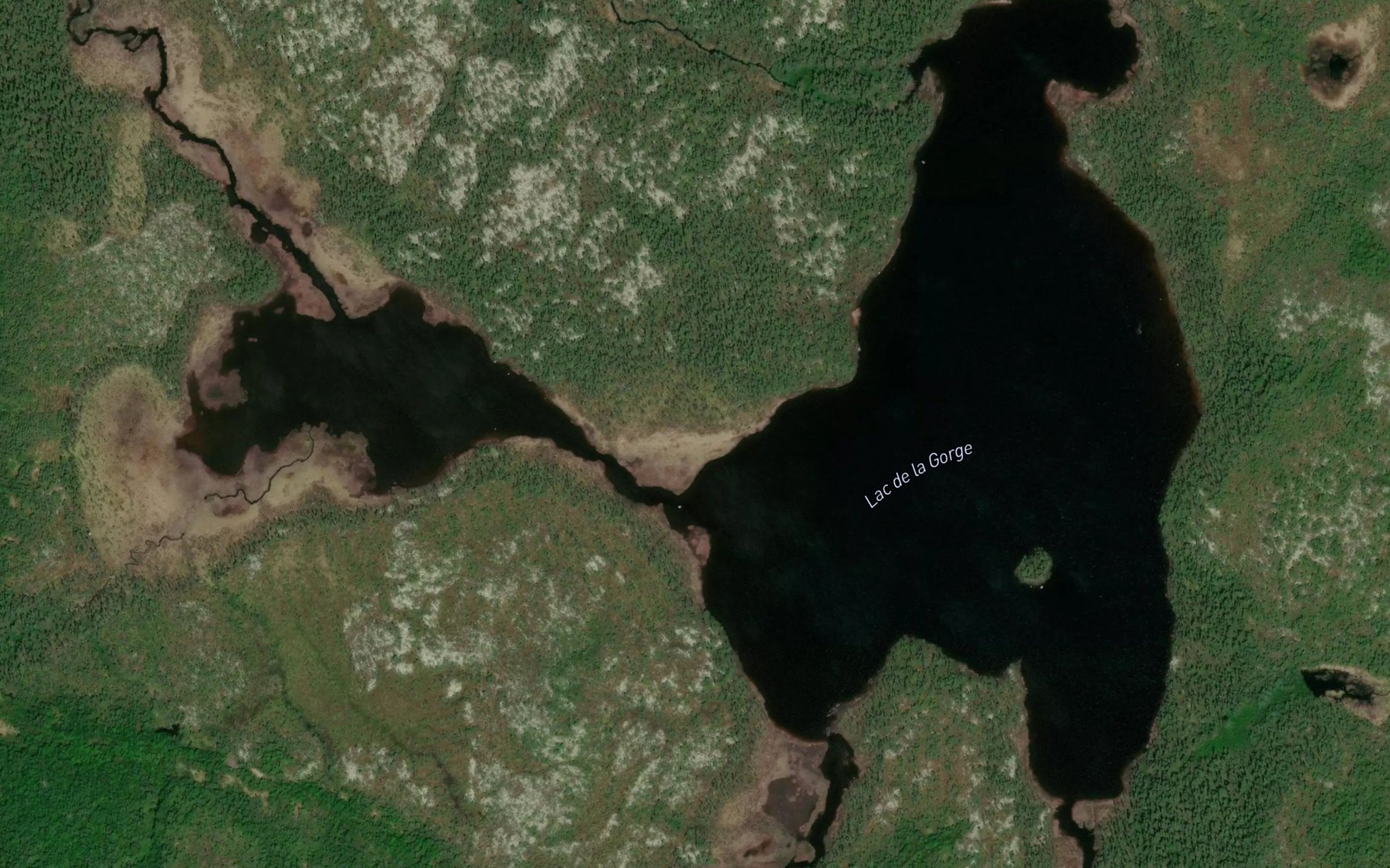 Satellite map of the Lac de la Gorge