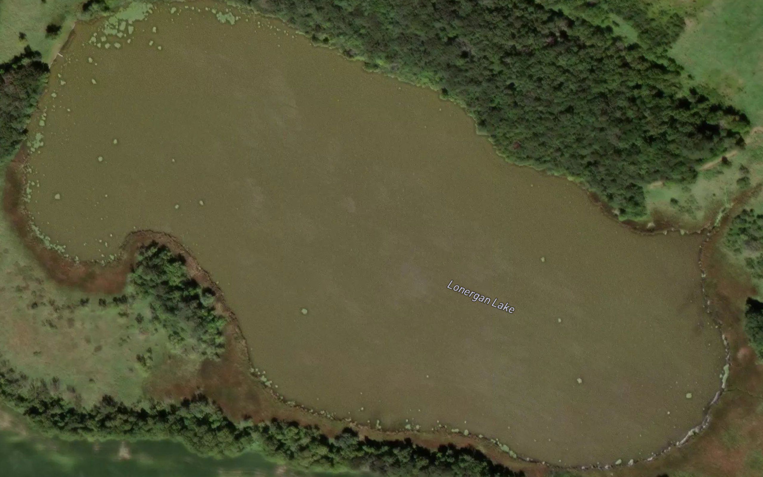 Lonergan Lake