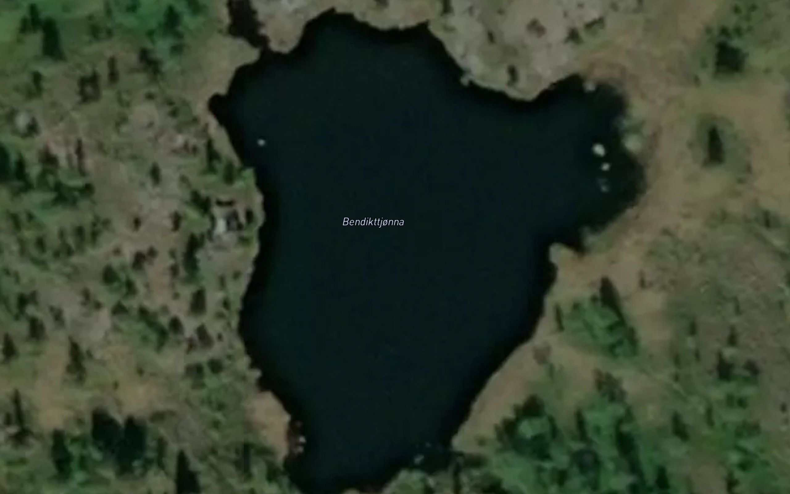 Bendikttjonna