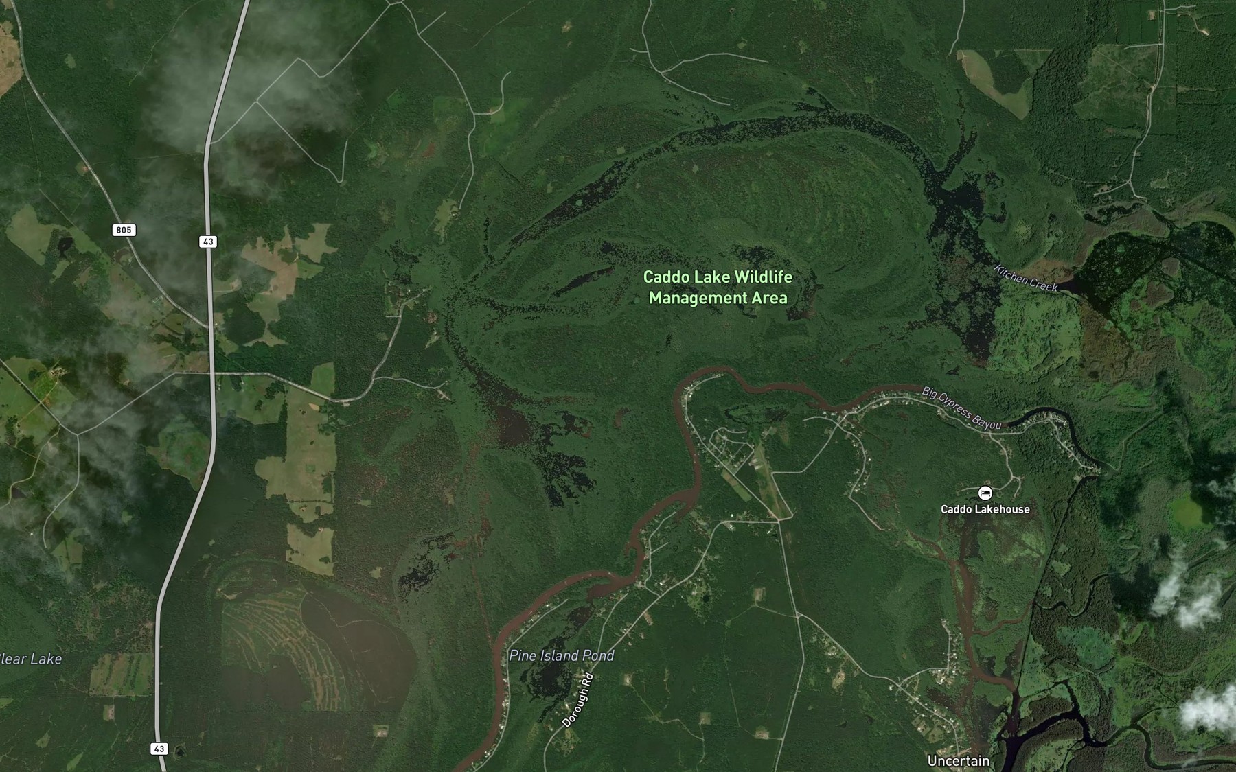 Satellite map of the Caddo Lake