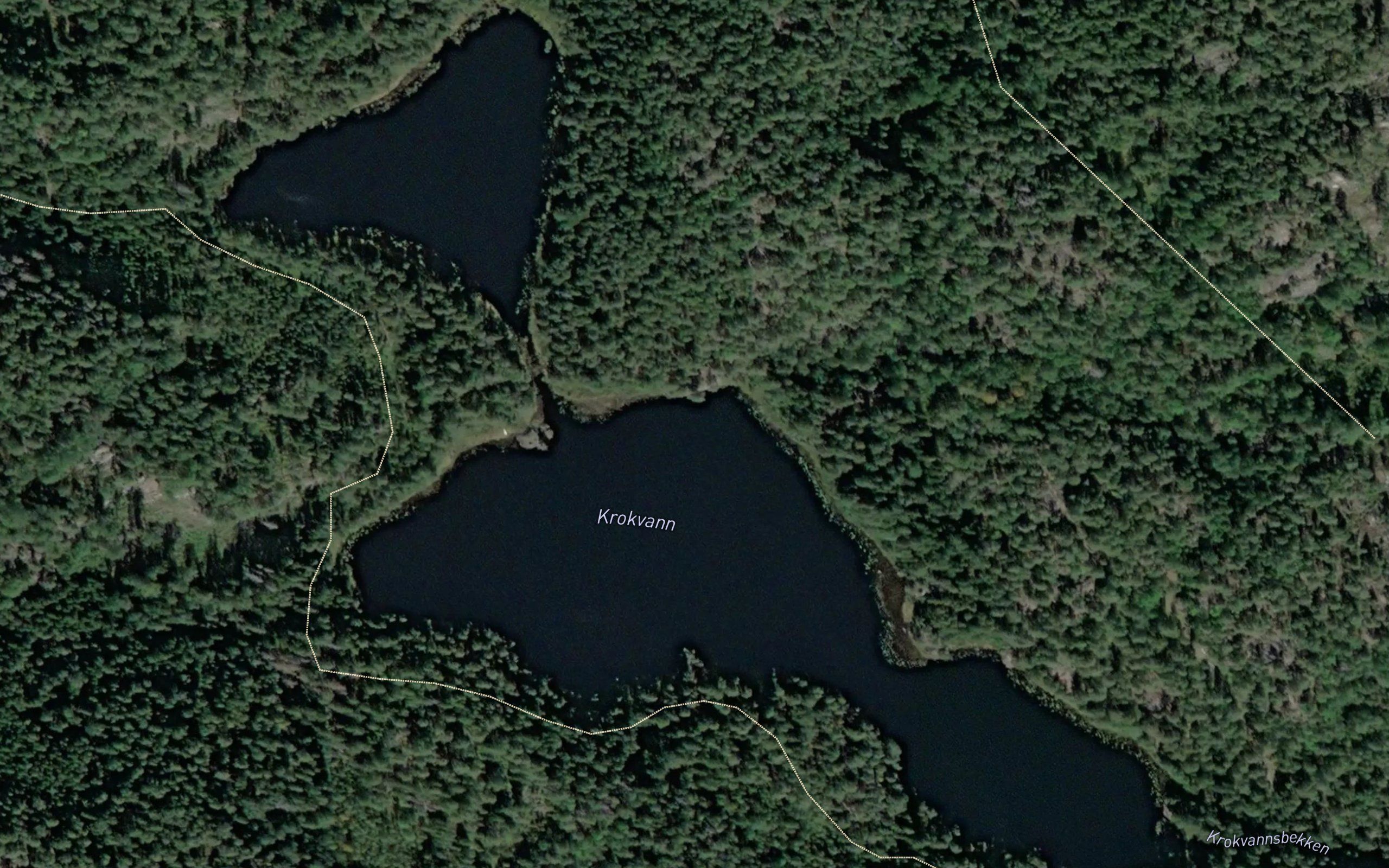 Krokvann