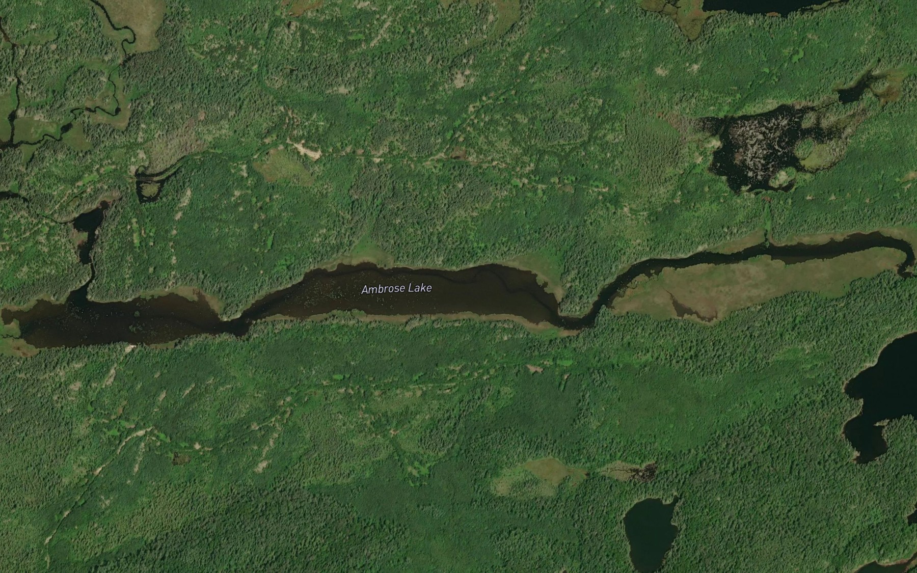 Satellite map of the Ambrose Lake