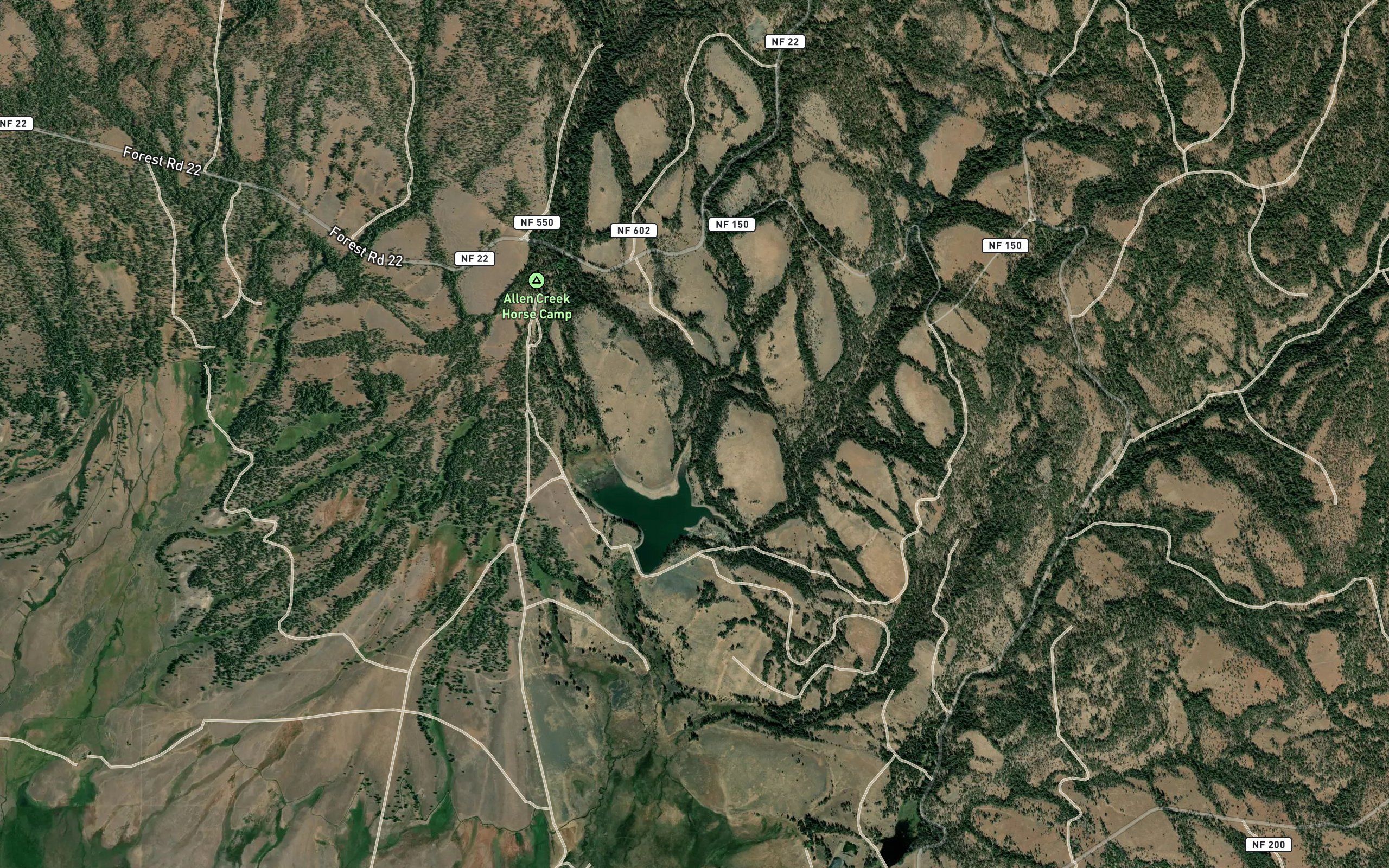 Beetle Creek
