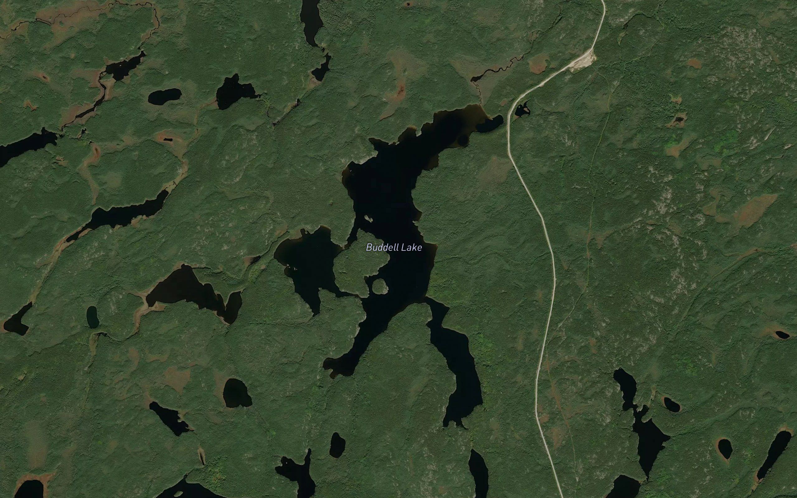 Buddell Lake