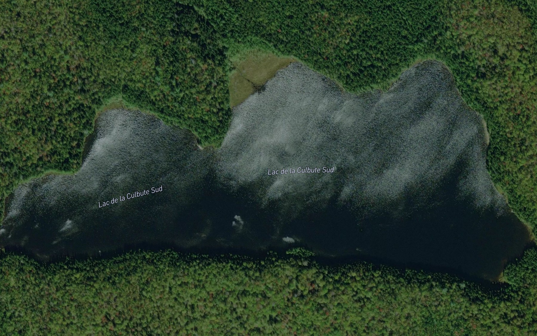 Satellite map of the Lac de la Culbute Sud