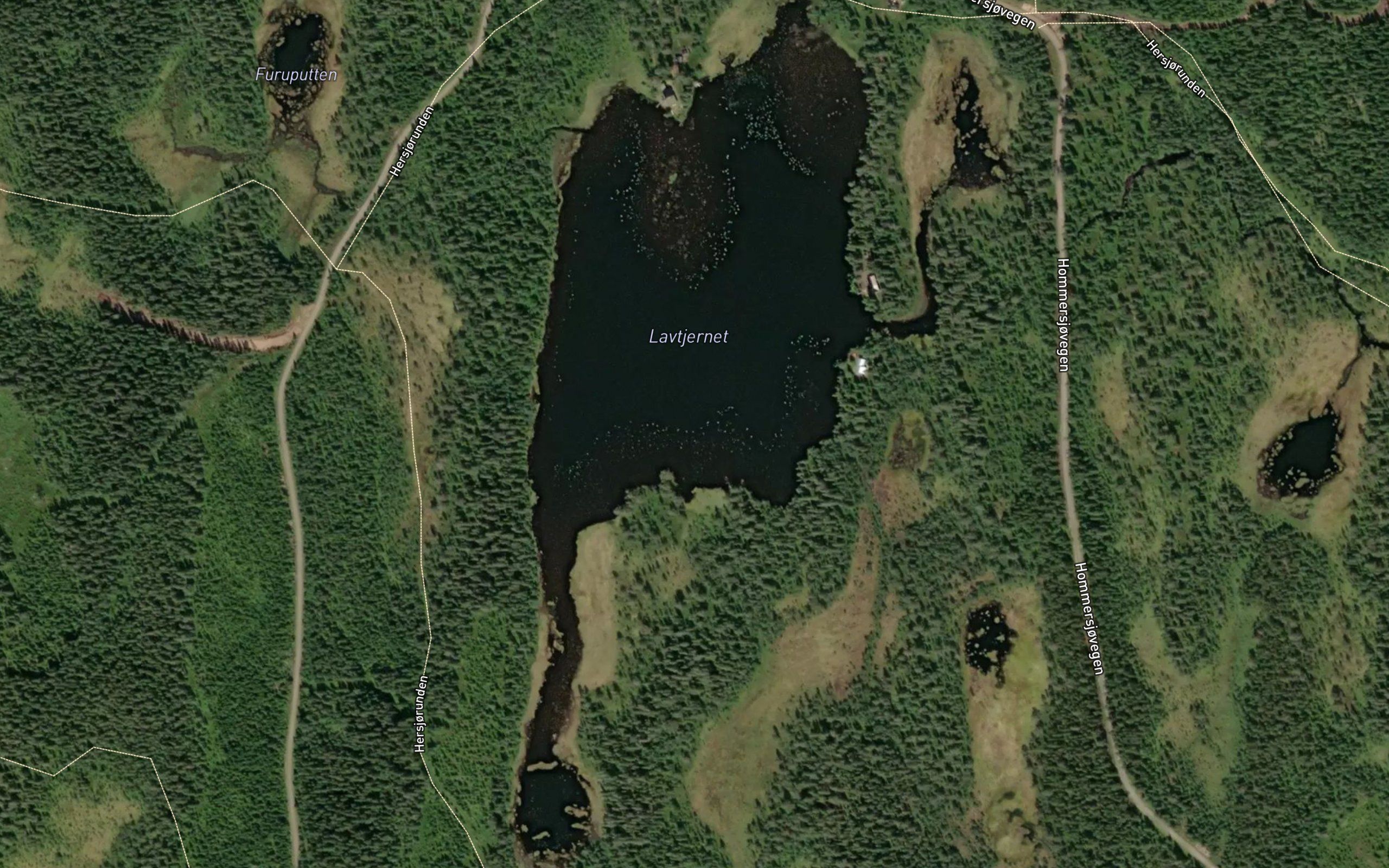 Lavtjernet