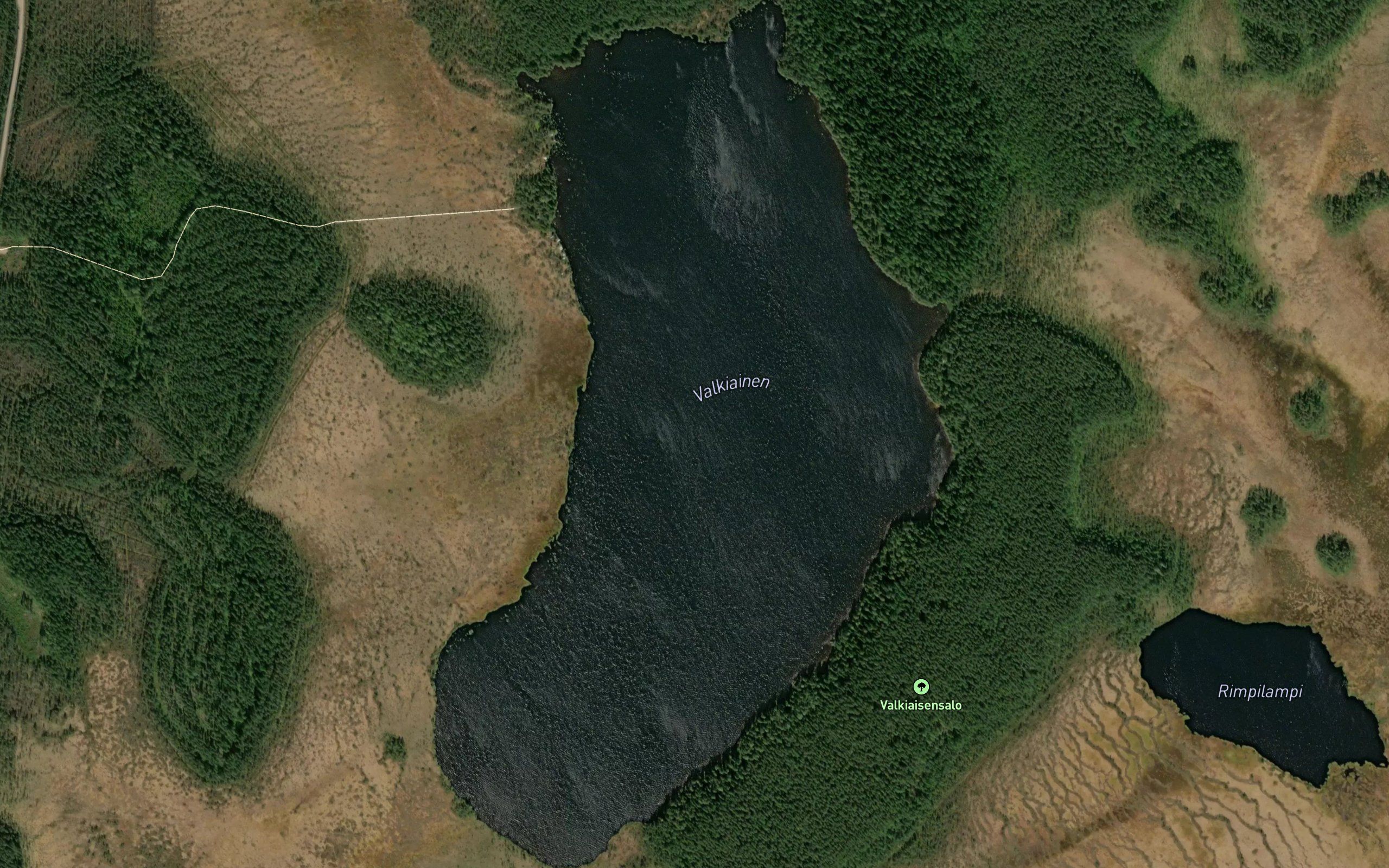 Valkiainen