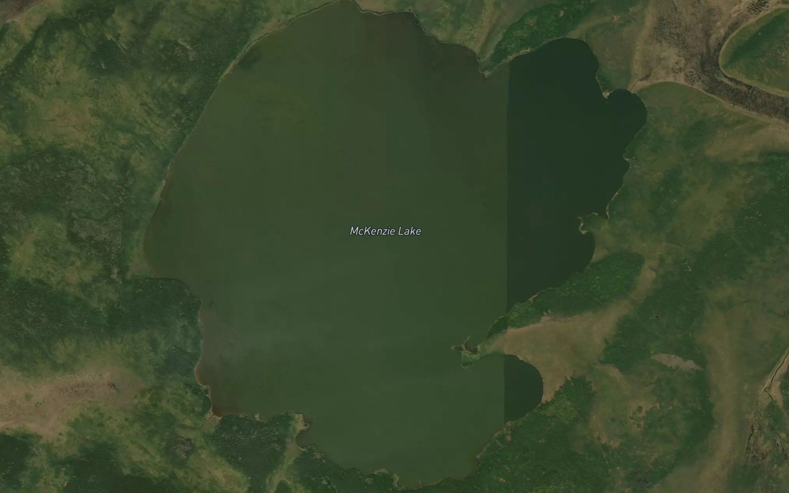 McKenzie Lake