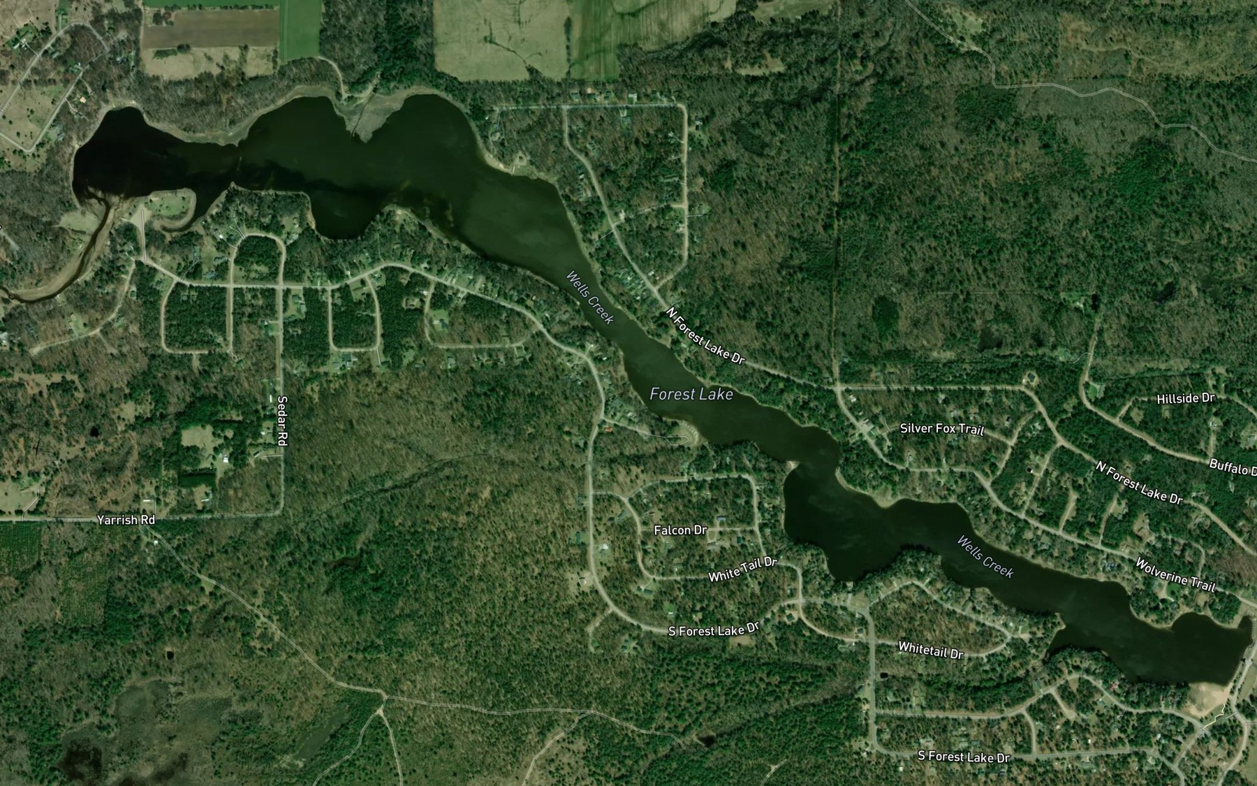 Satellite map of the Forest Lake