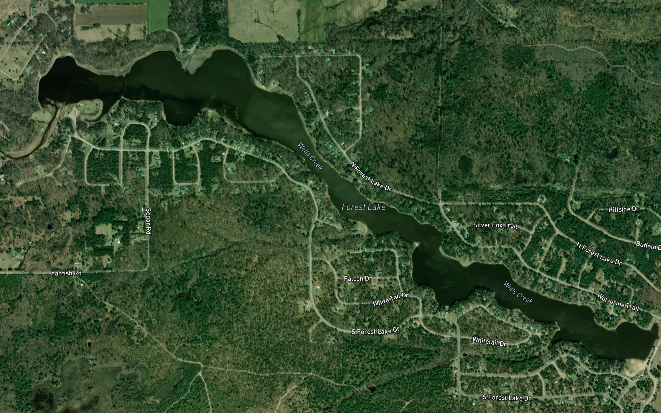 Forest Lake