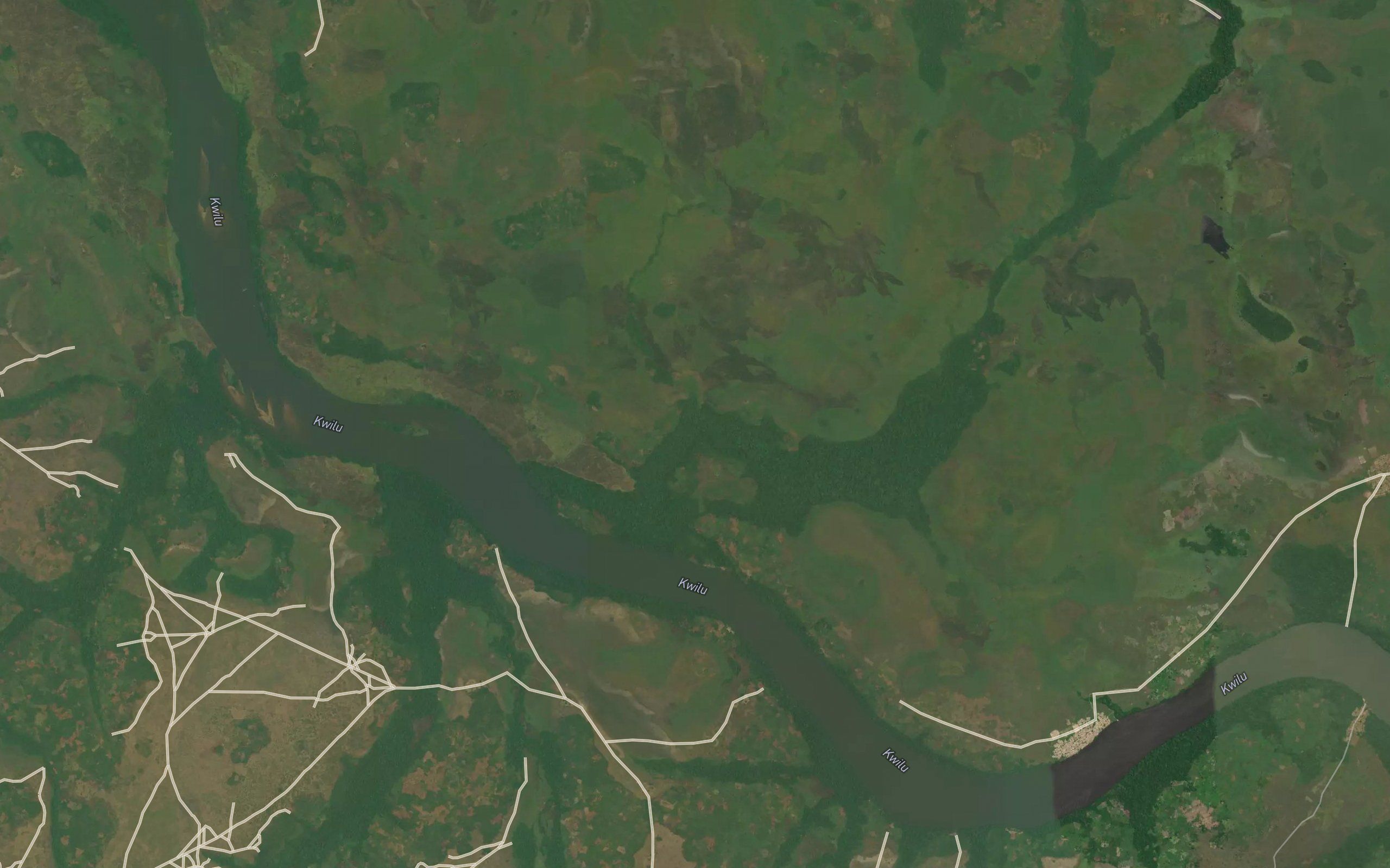Mwankuli