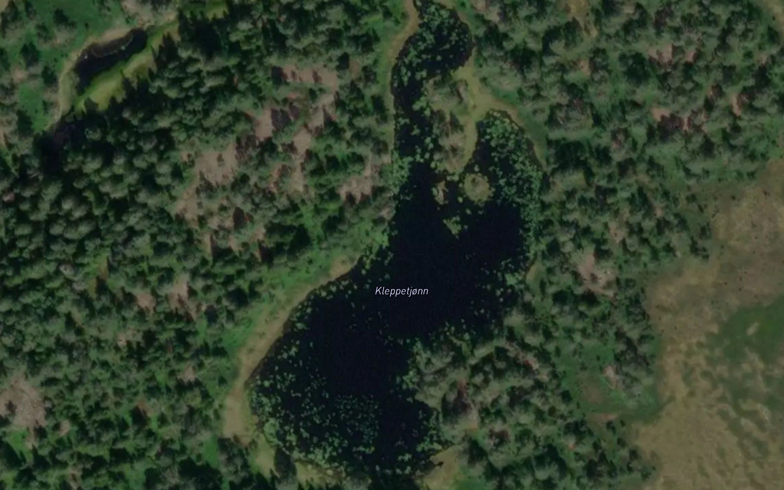 Kleppetjonn