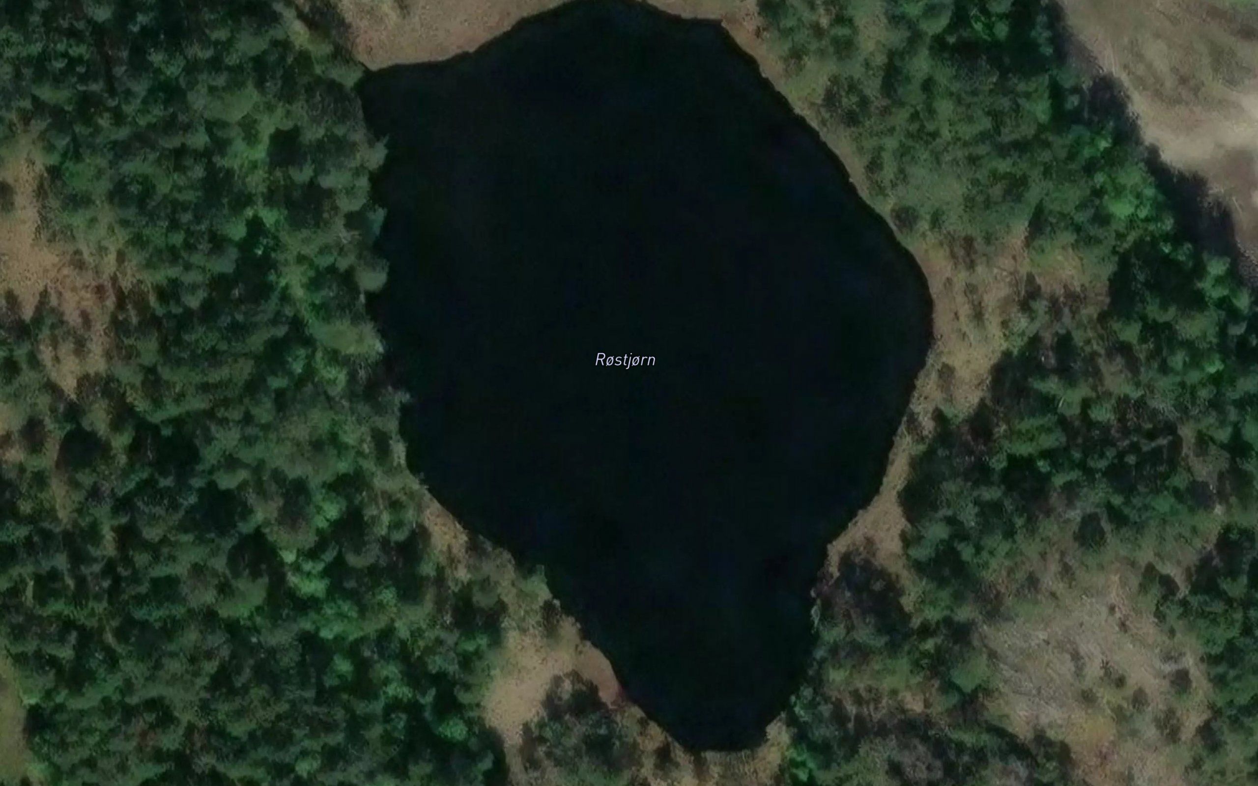 Rostjorn