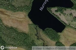 Pienijoki