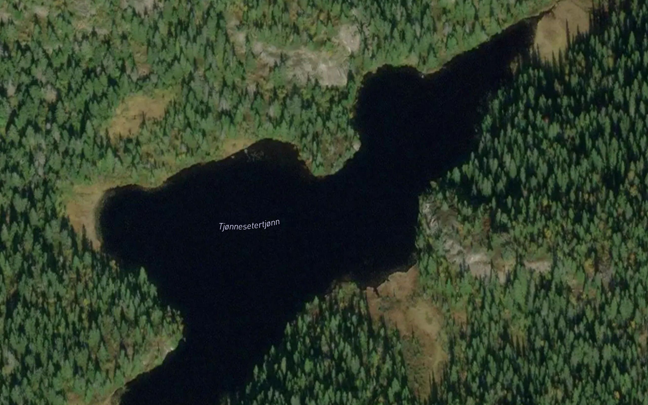 Tjornsaetertjorni