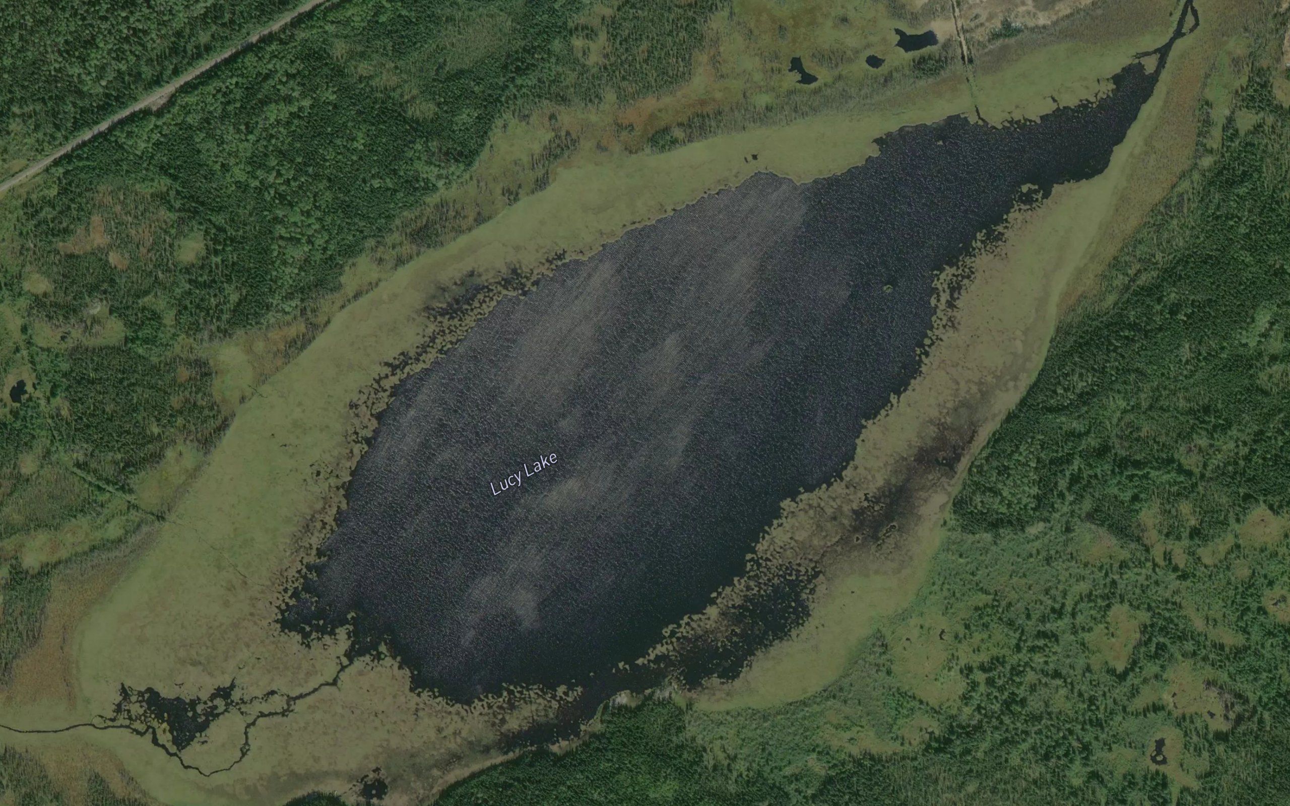 Lucy Lake