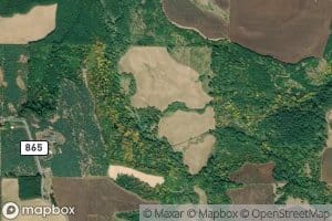 East Fork Drift Creek