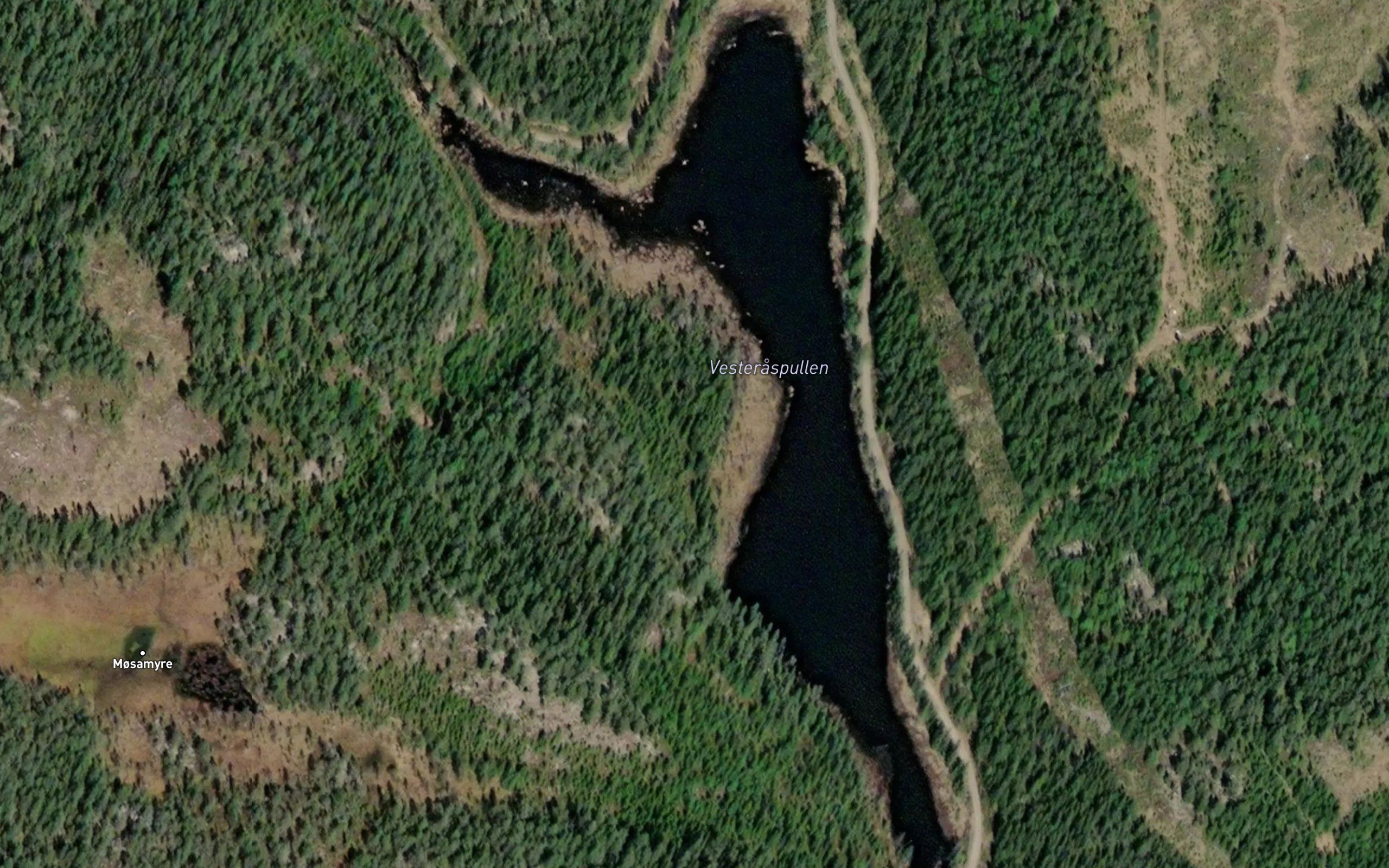 Vesteraspullen