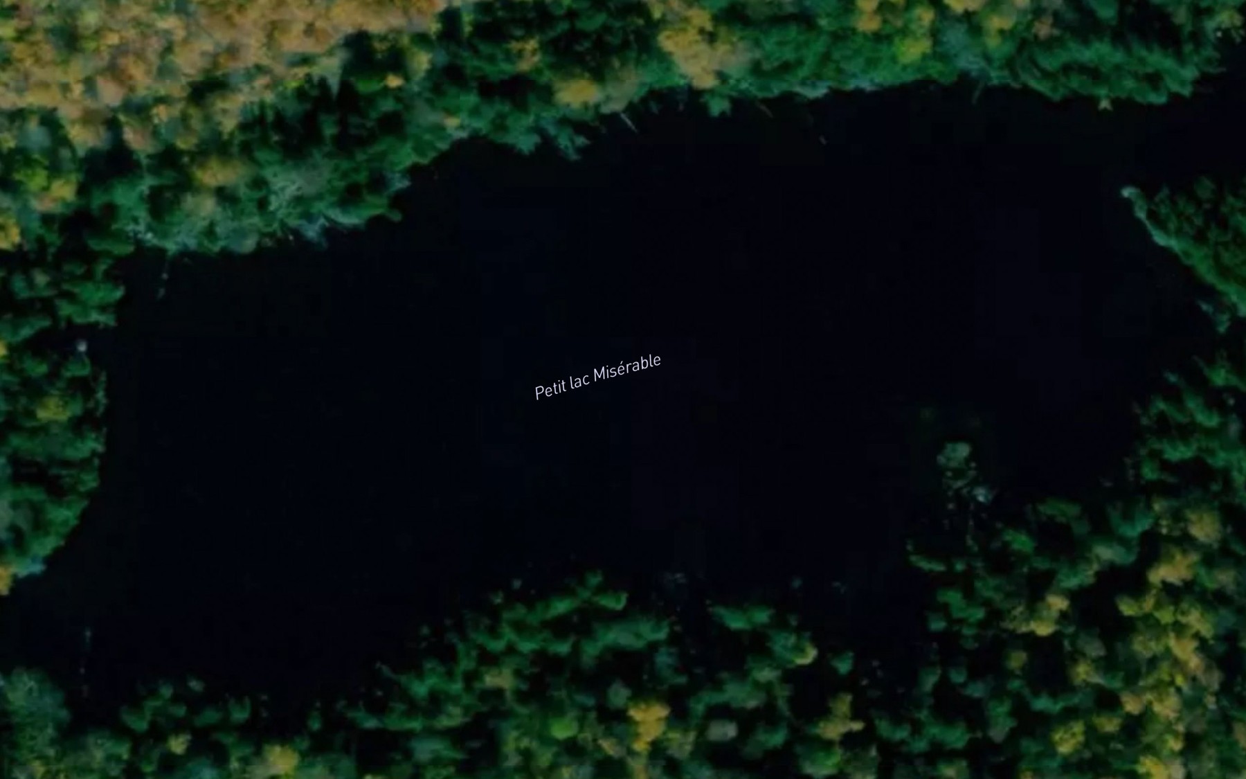 Satellite map of the Petit lac Miserable
