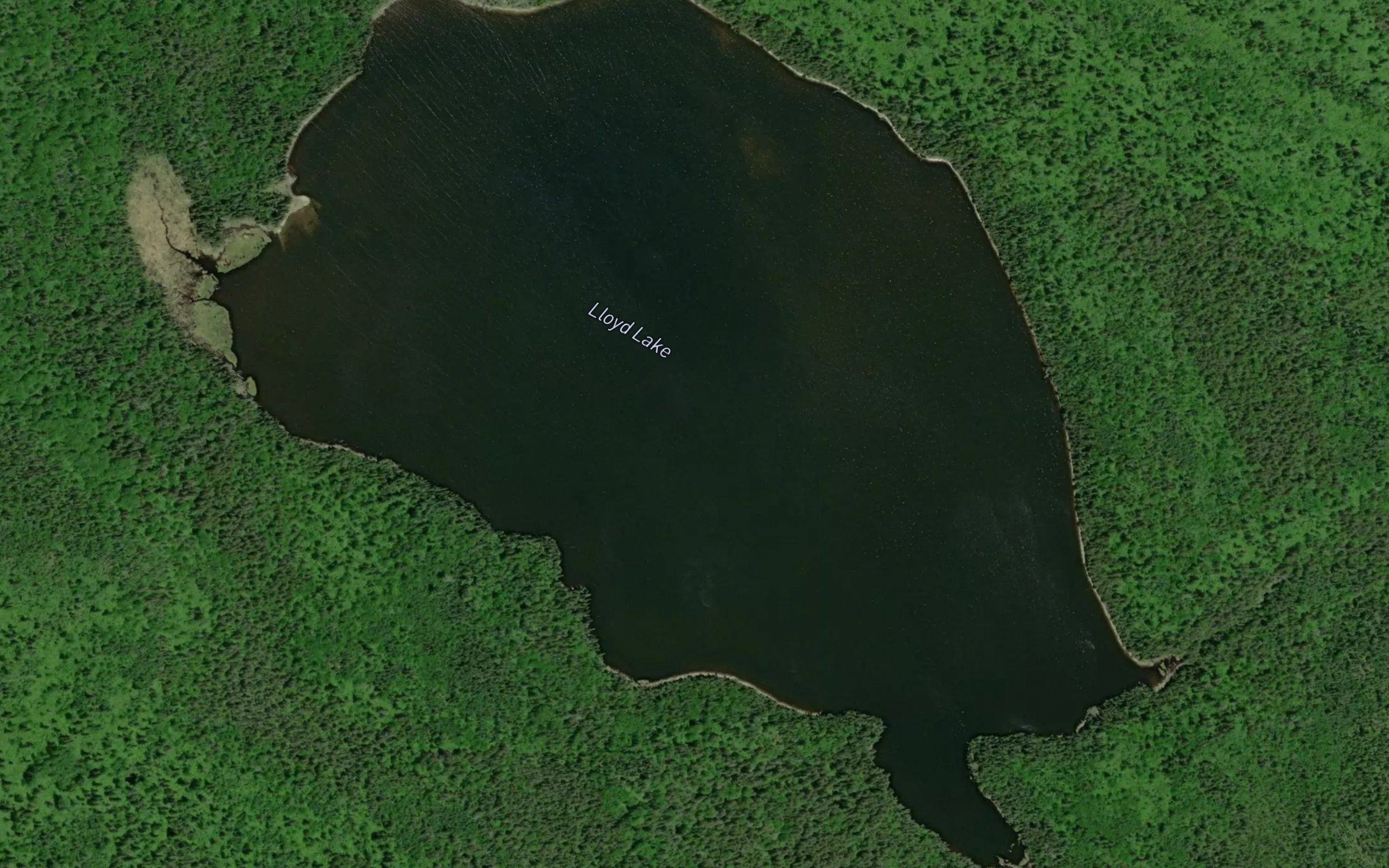 Lloyd Lake