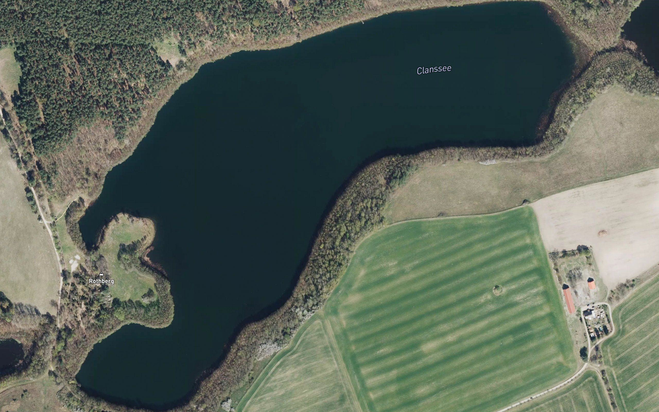 Clanssee
