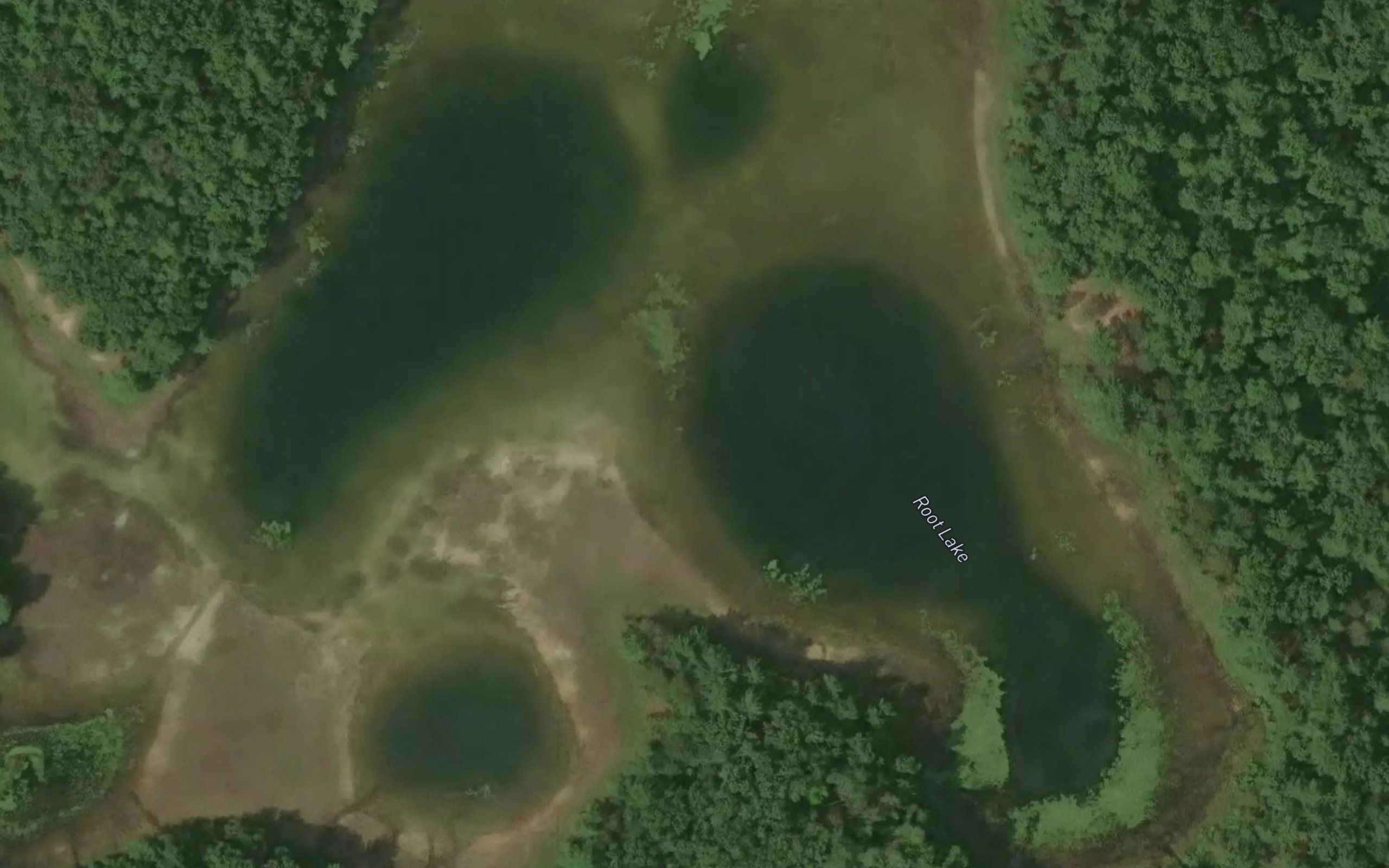 Root Lake