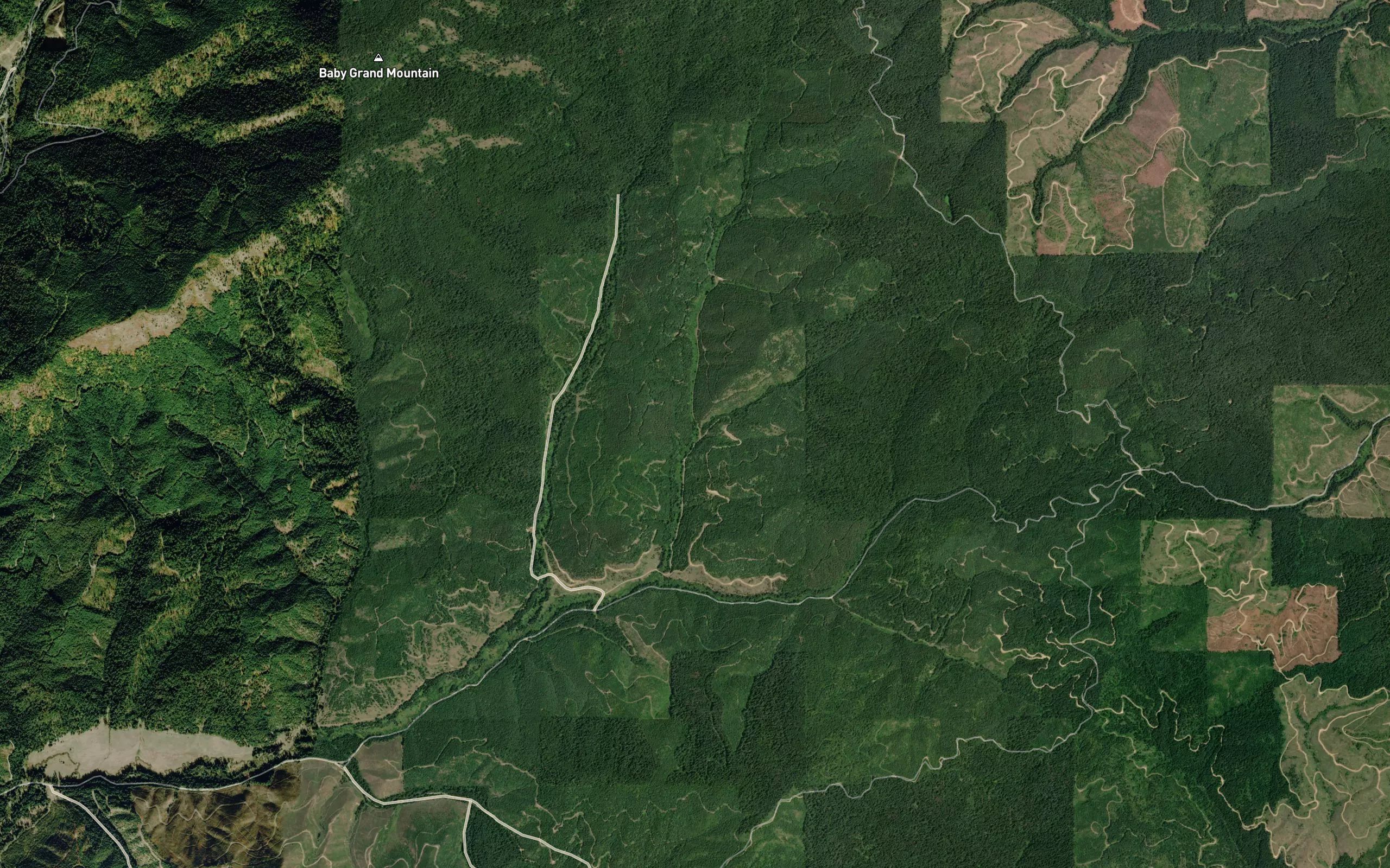 Pittwood Creek